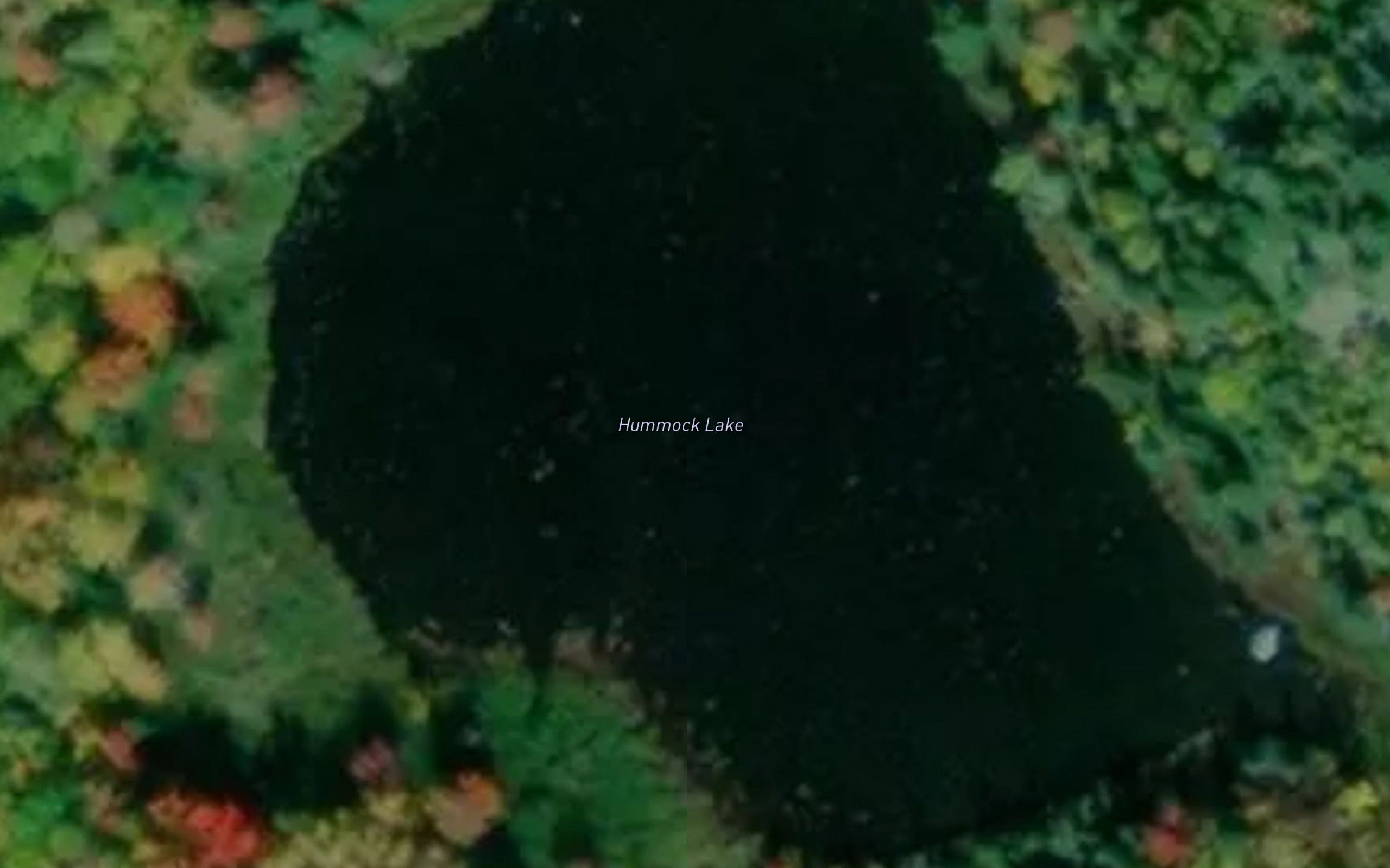 Hummock Lake