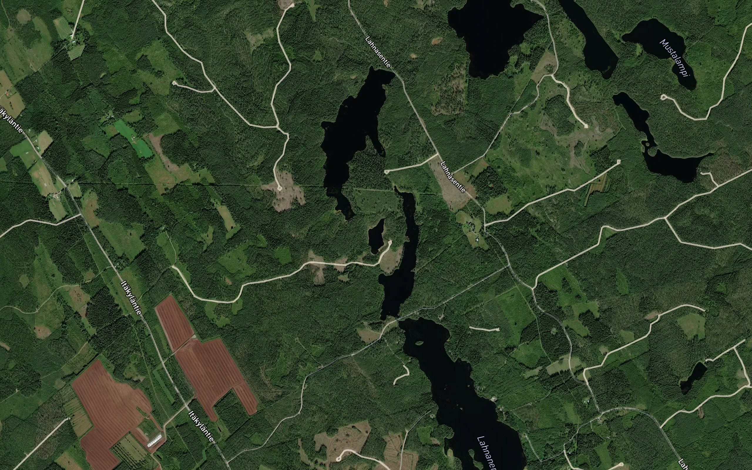 Aittaroinen