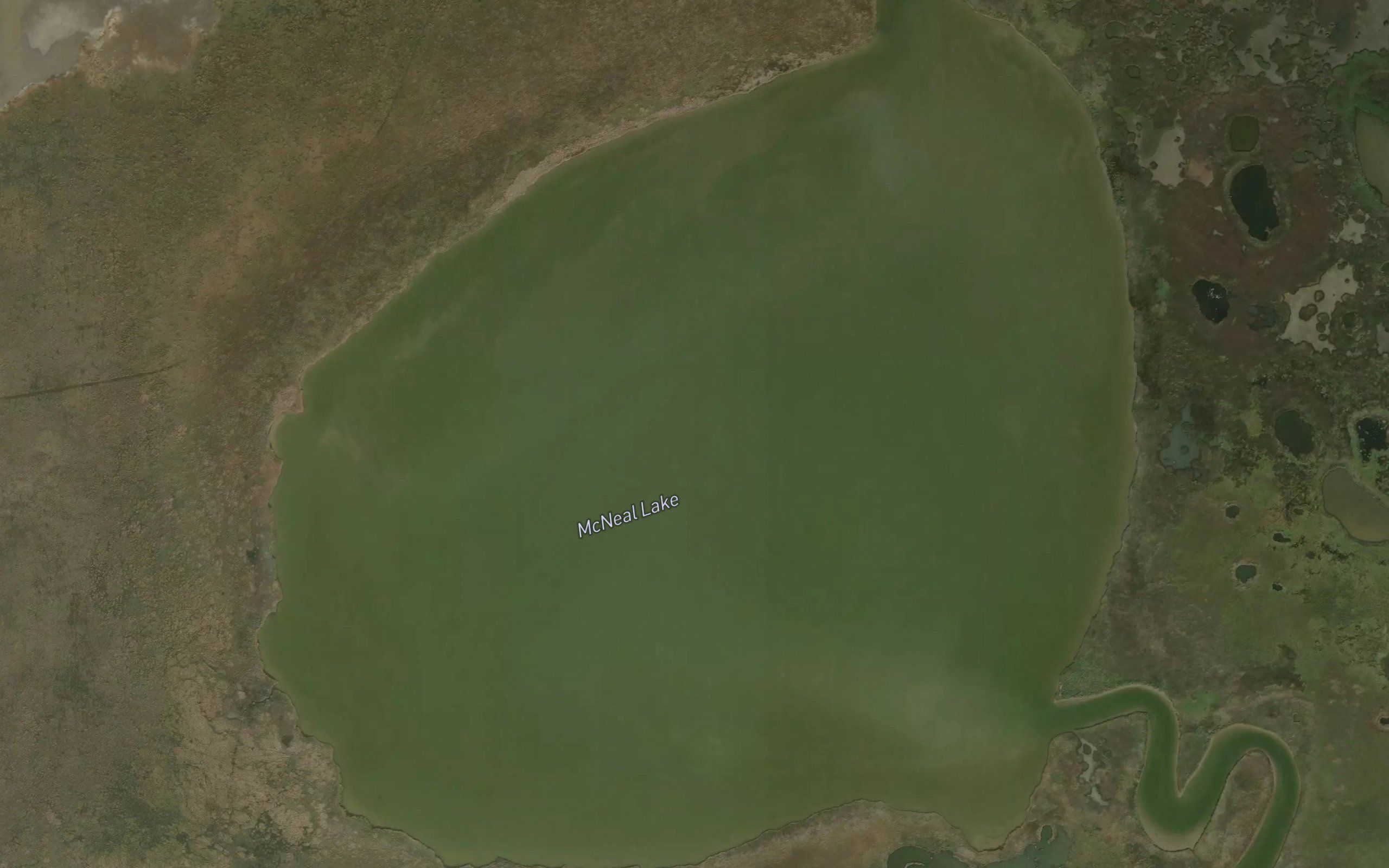 McNeal Lake