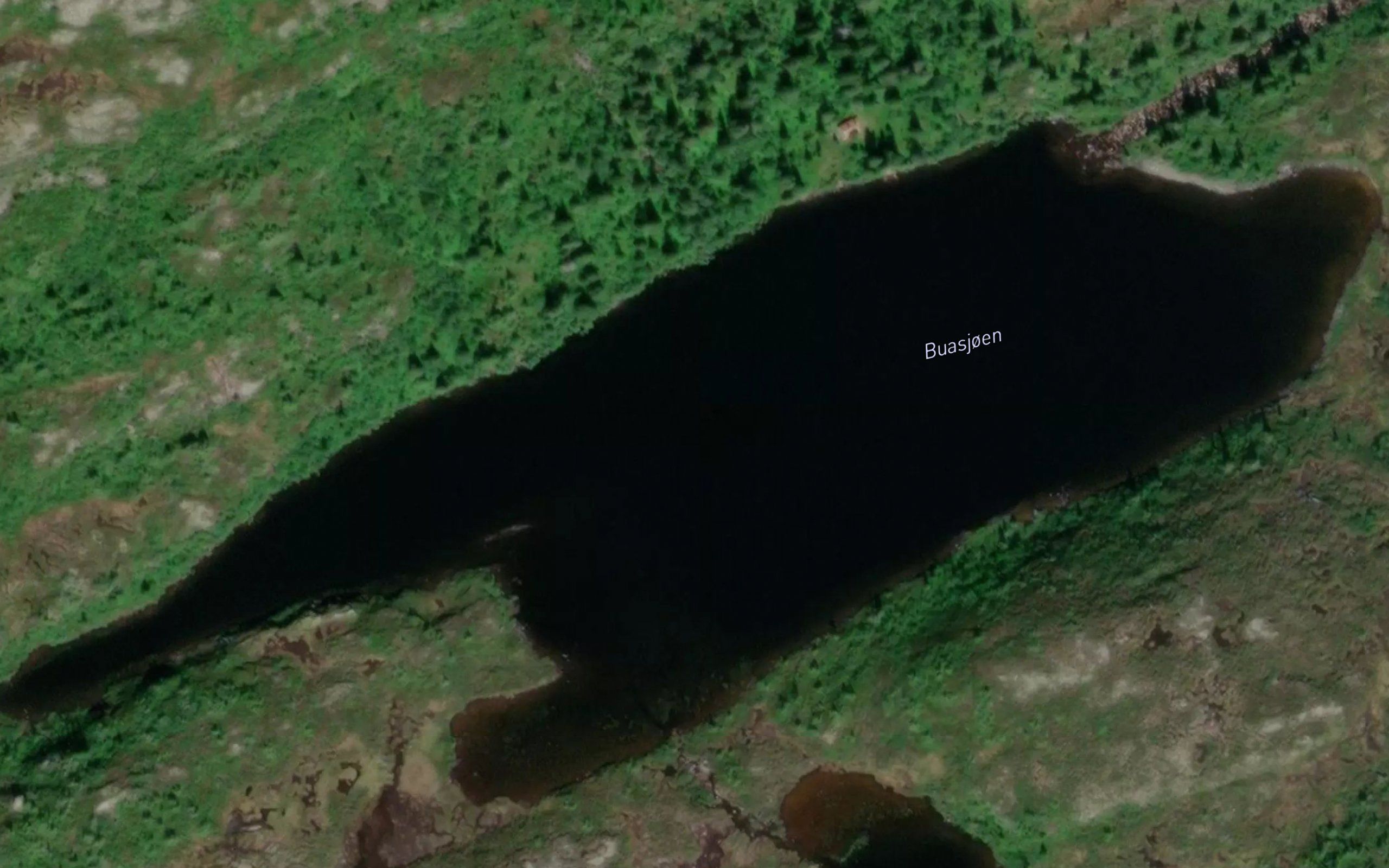 Buasjoen
