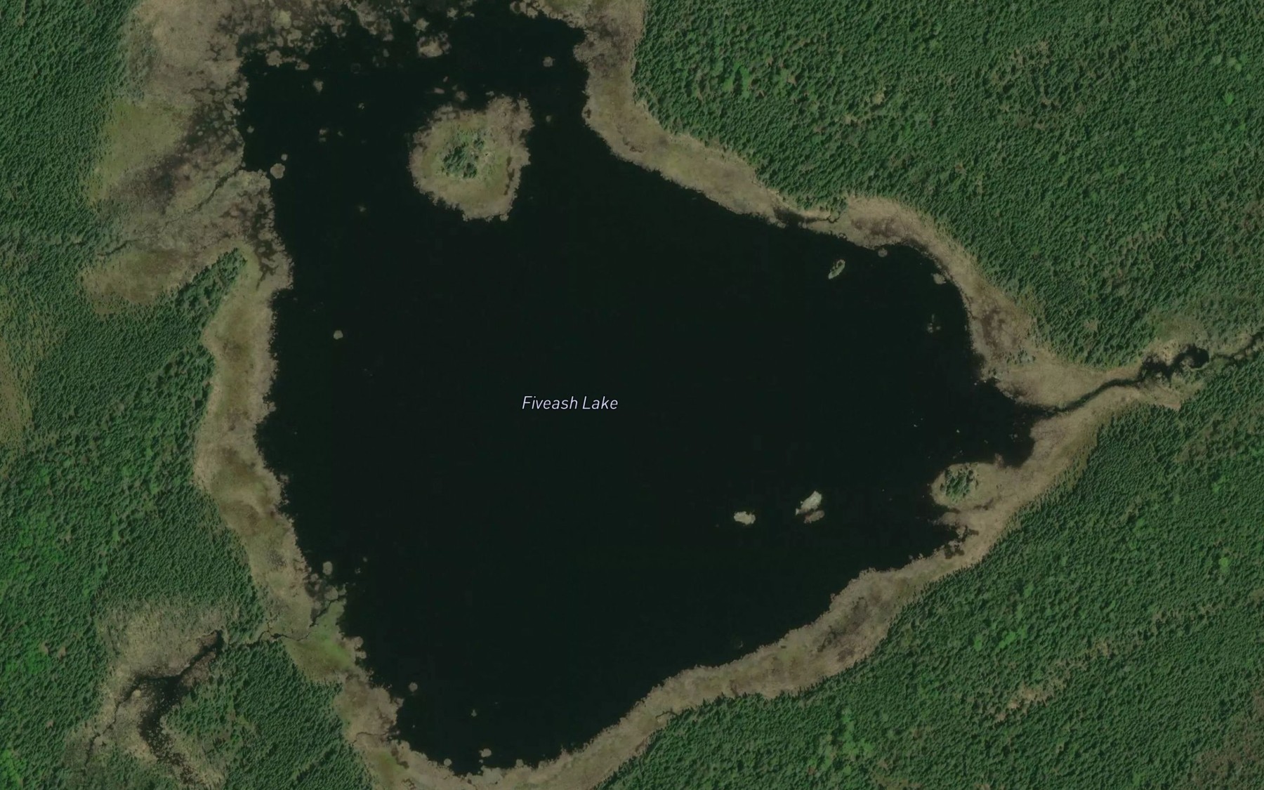 Satellite map of the Fiveash Lake