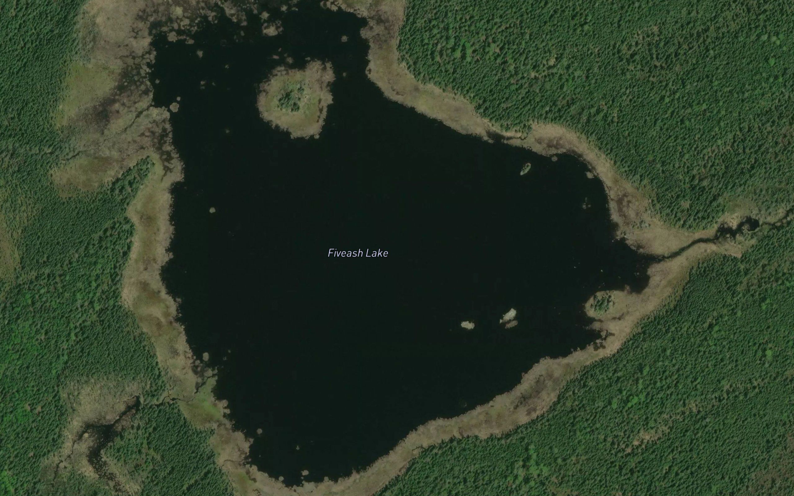 Fiveash Lake