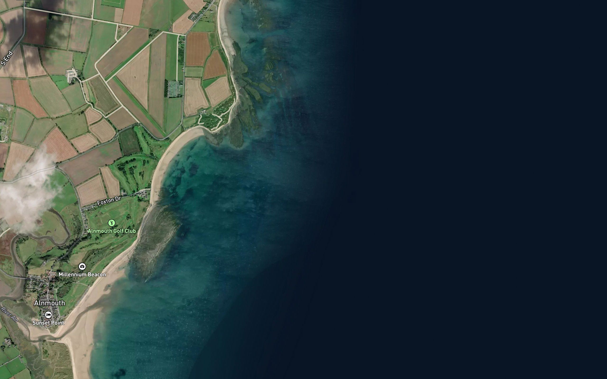 Seaton Shad