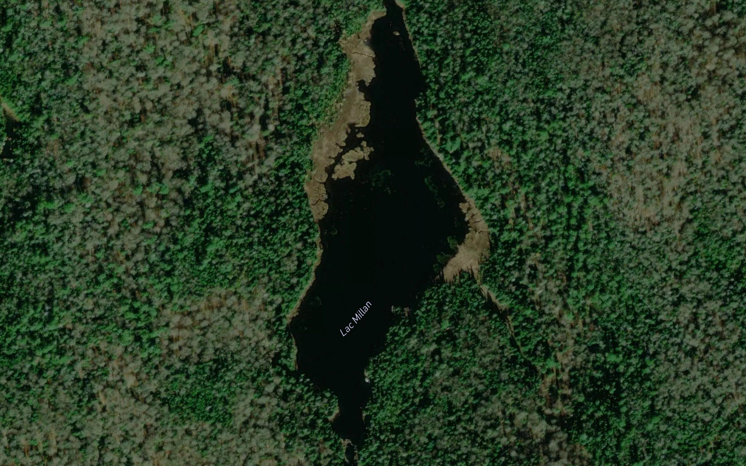 Lac Millan