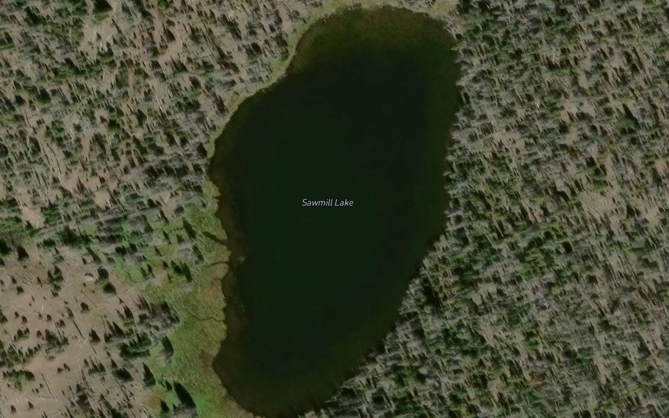 Sawmill Lake