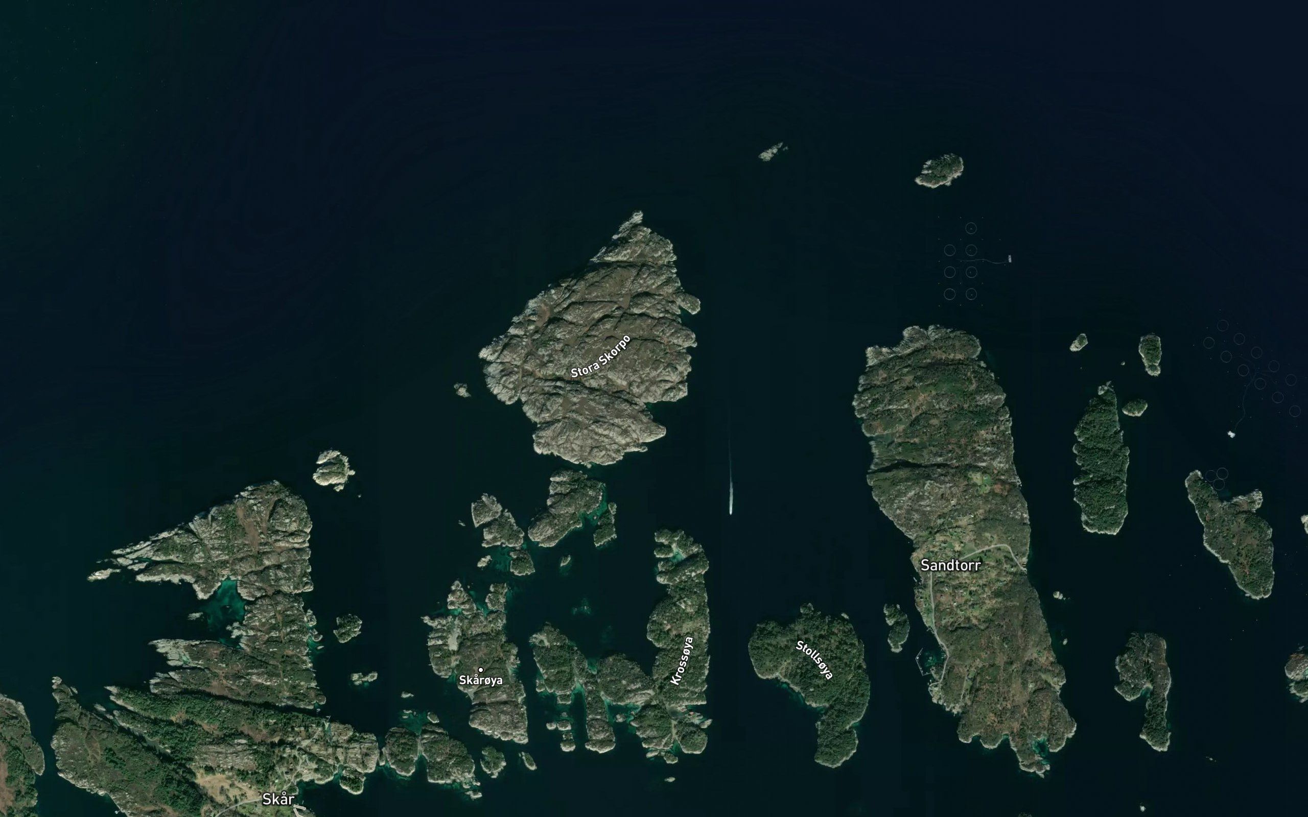 Svortevik