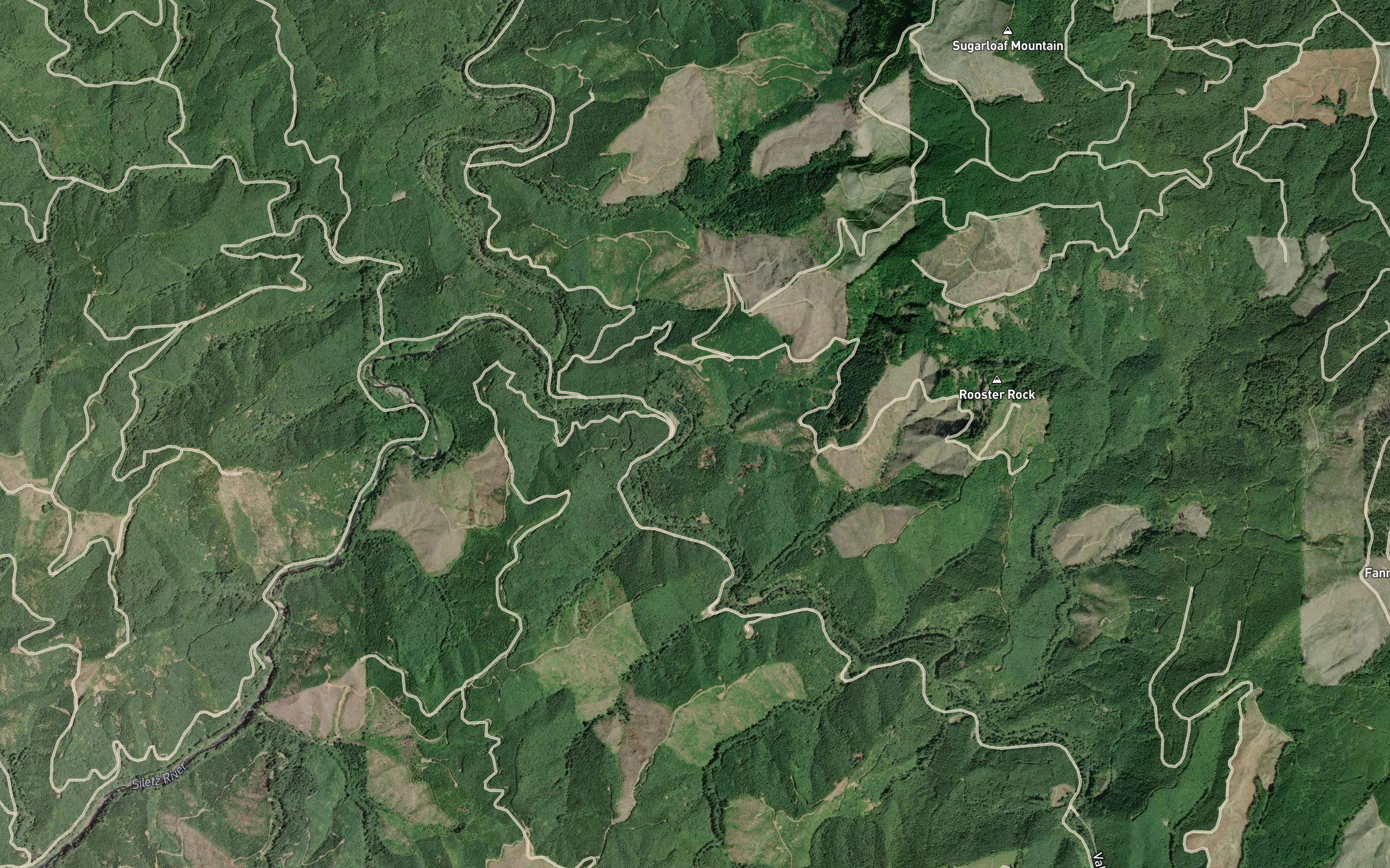 Bluff Creek