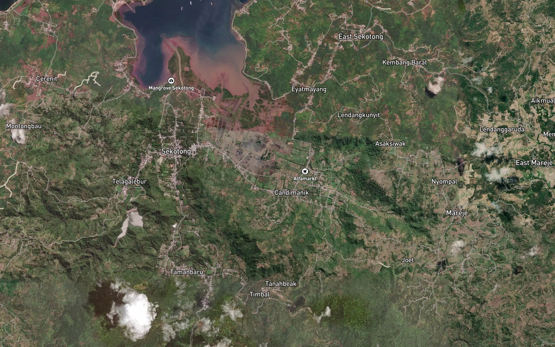 Satellite map of the Sungai Sayong