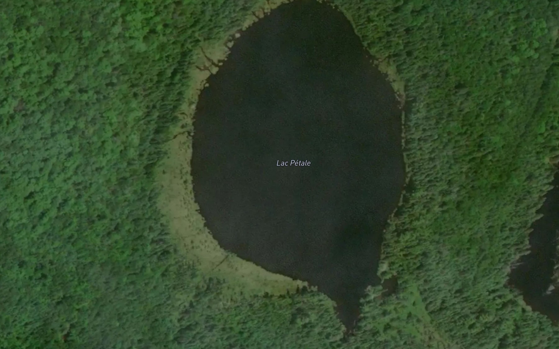 Satellite map of the Lac Petale