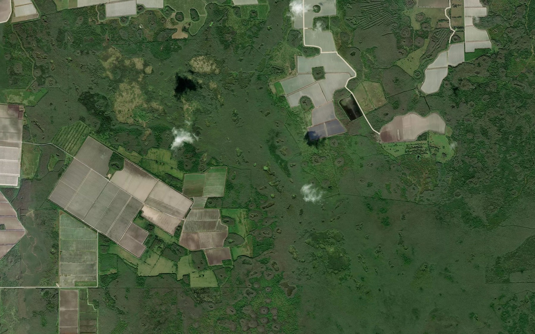Satellite map of the Flinthead Lake