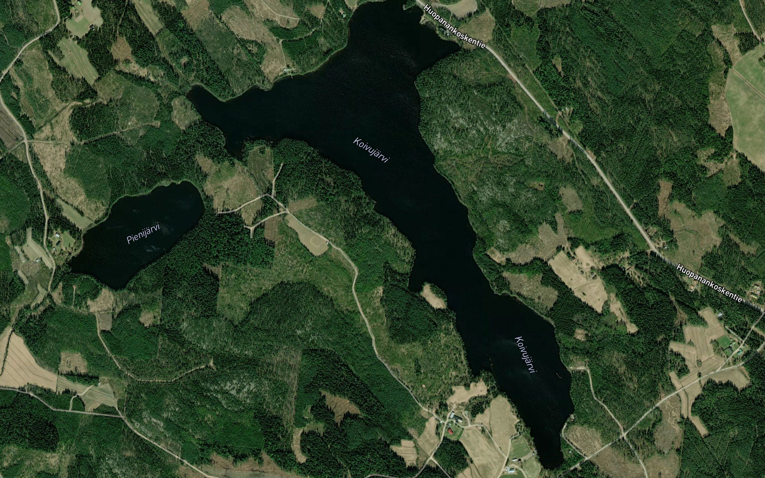 Koivujarvi