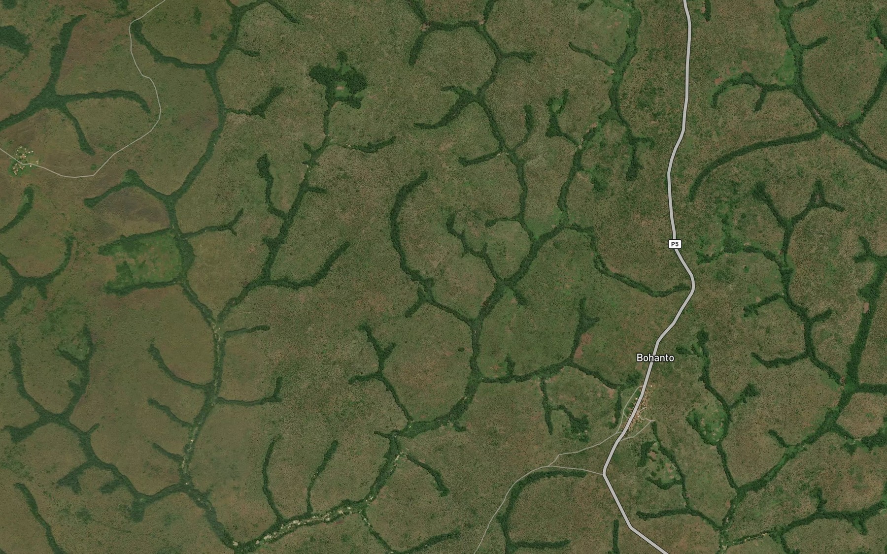 Satellite map of the Losso