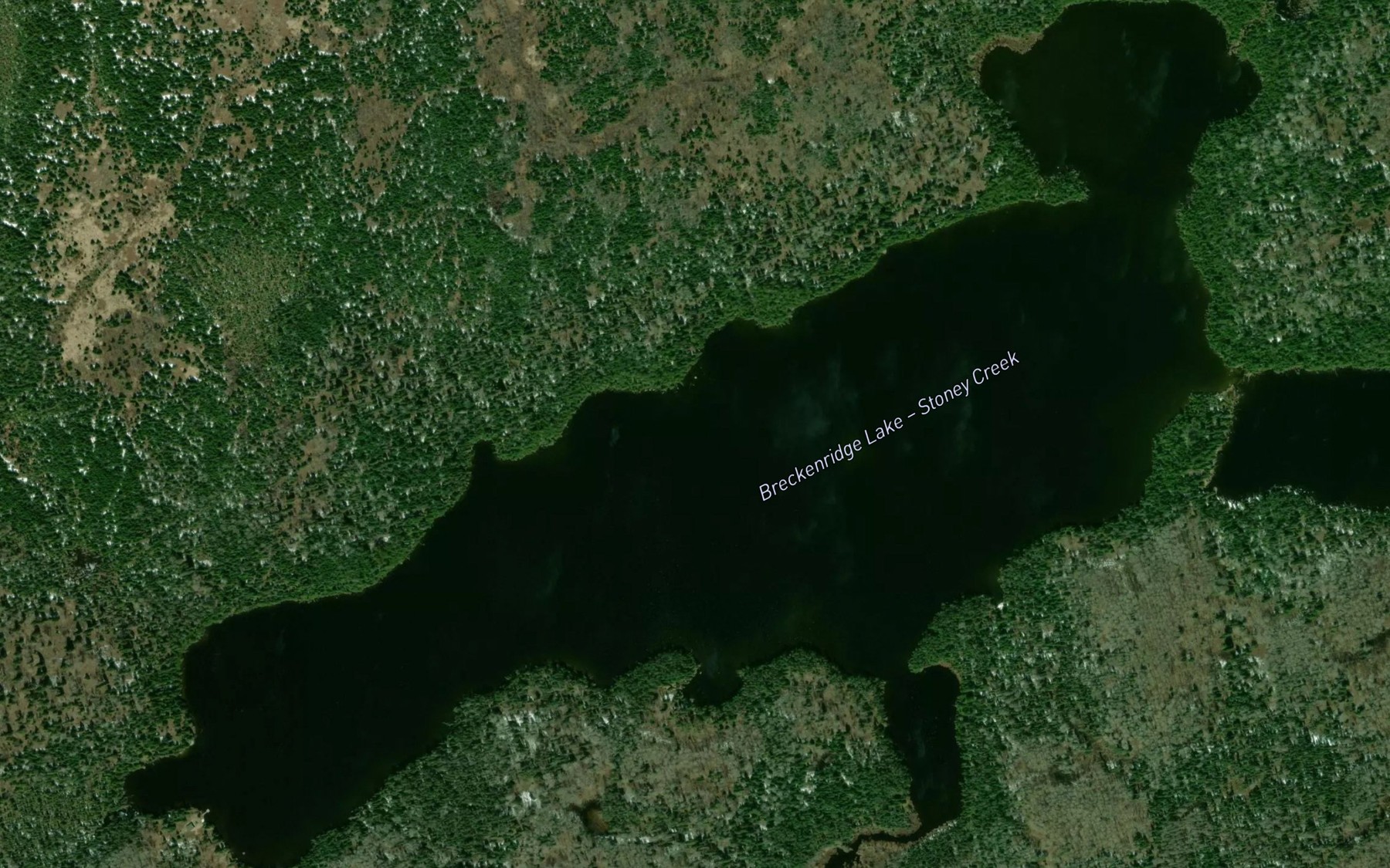 Satellite map of the Breckenridge Lake