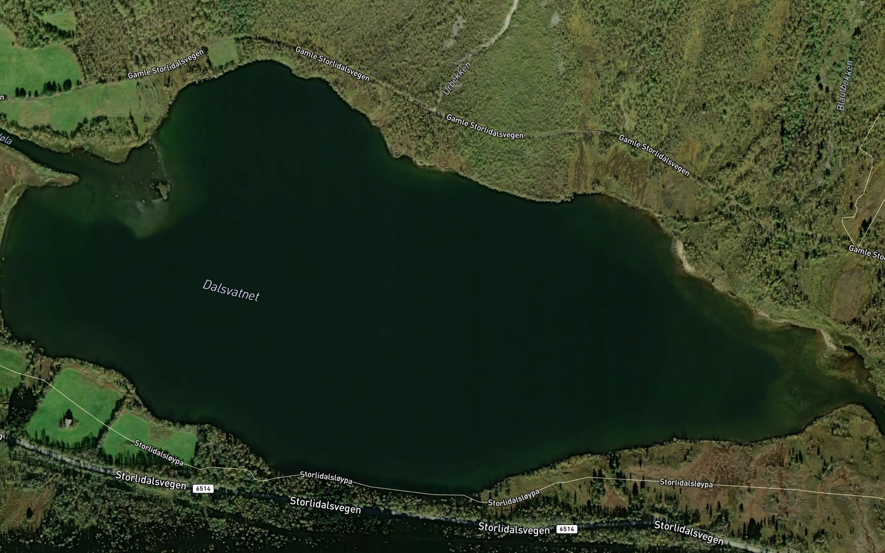 Satellite map of the Dalsvatnet