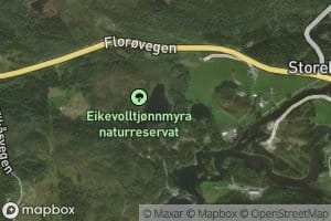 Eikevolltjorna