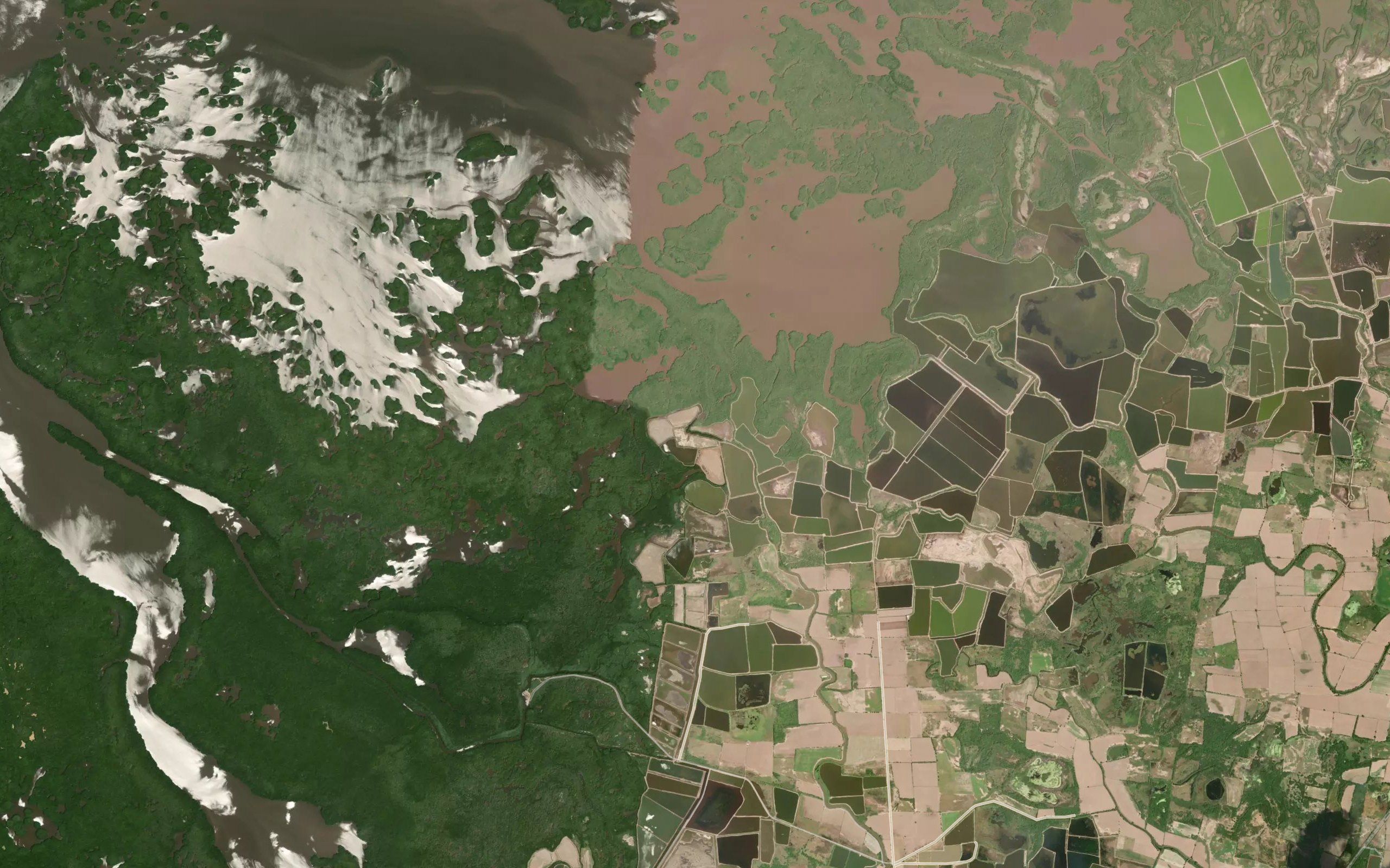Estero Pimientillo
