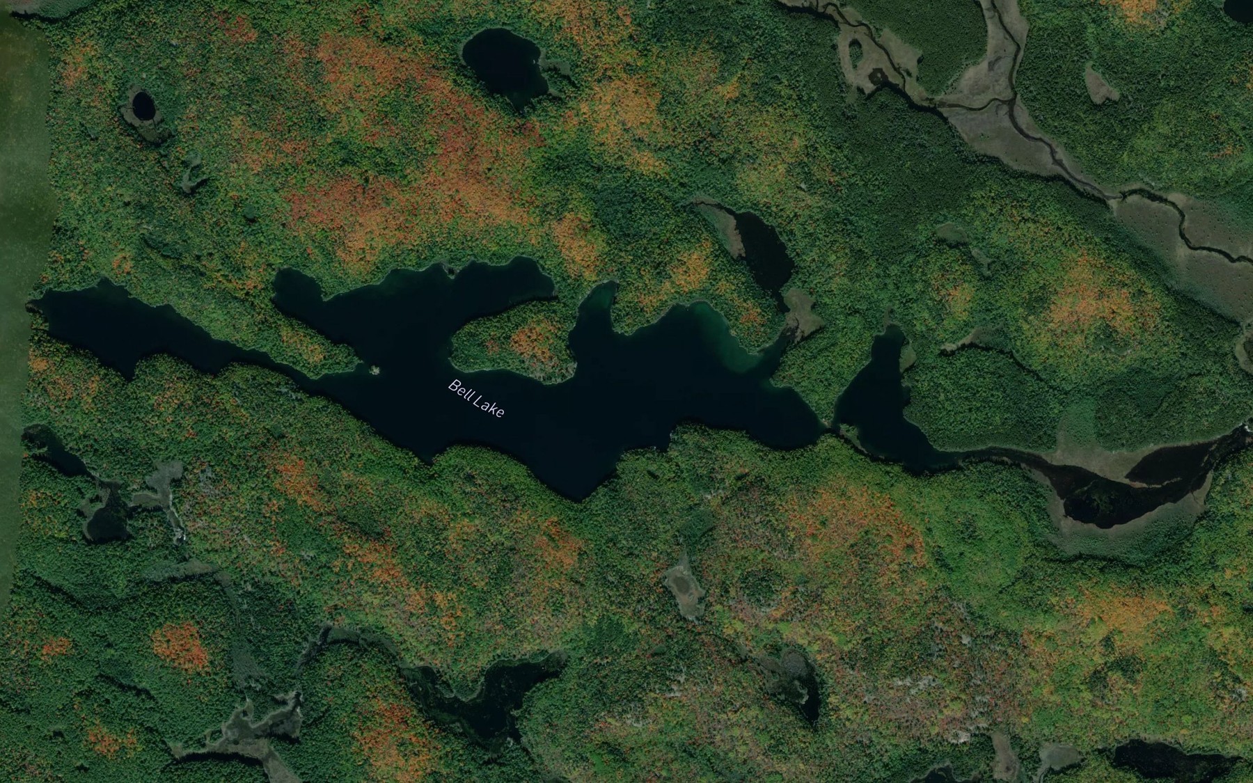 Satellite map of the Bell Lake
