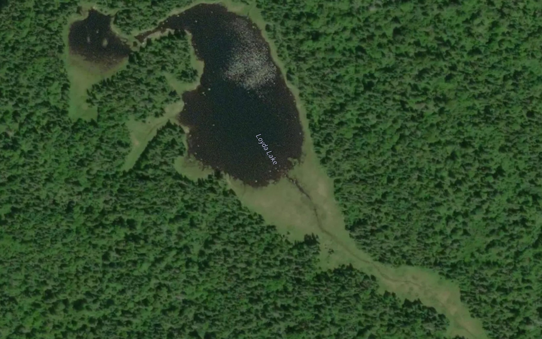 Satellite map of the Loyda Lake