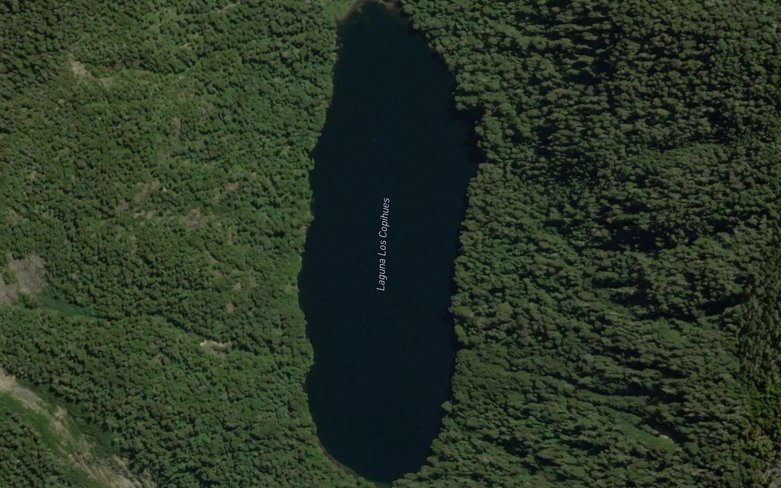 Laguna Los Copihues