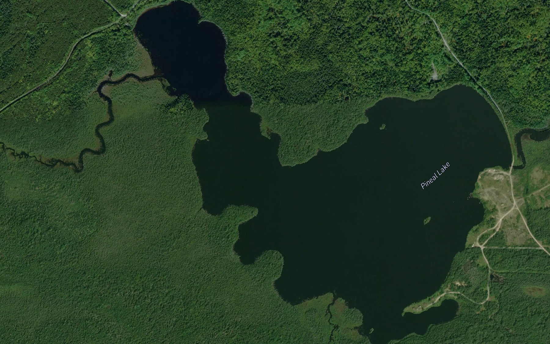 Satellite map of the Pineal Lake