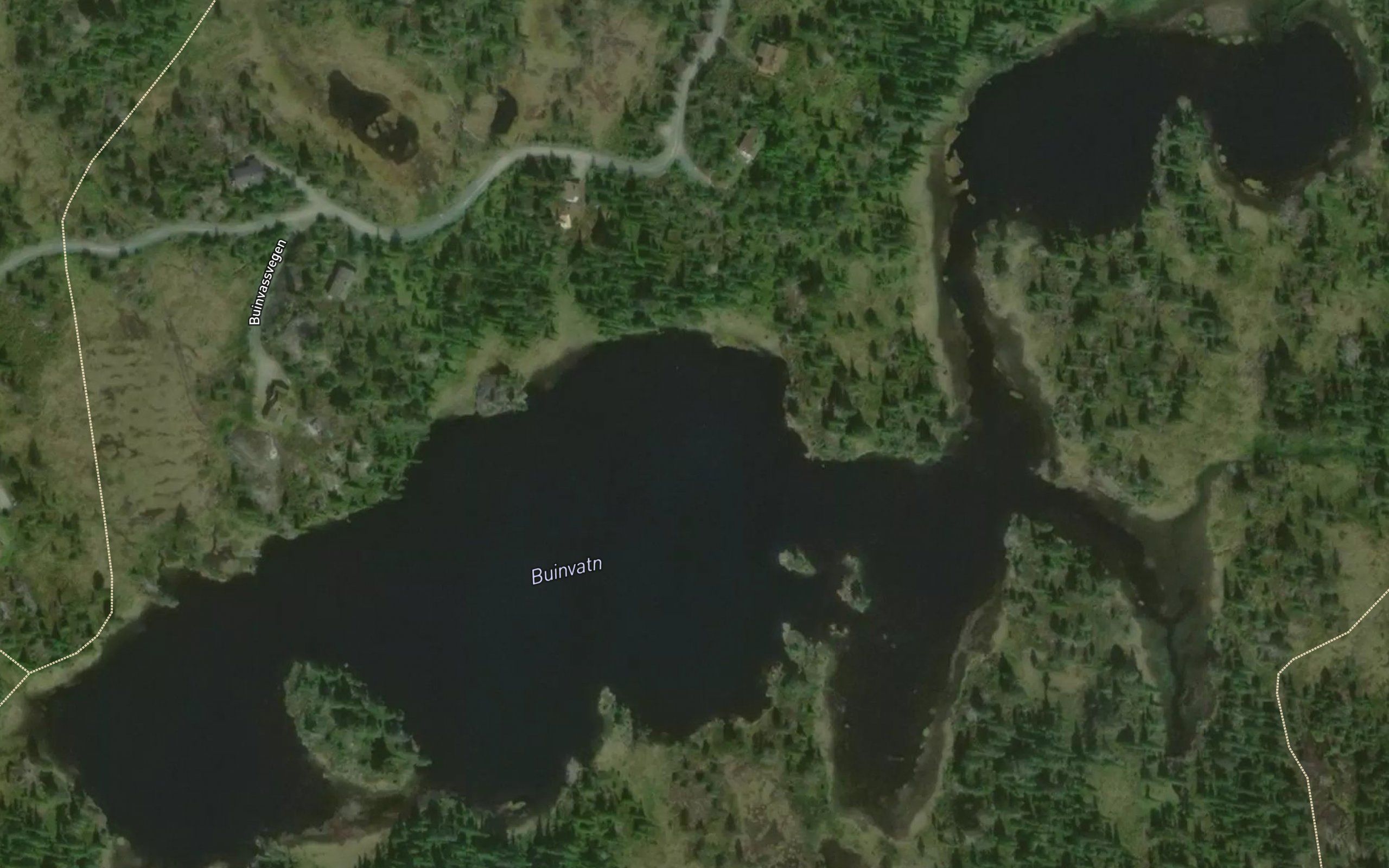 Buinvatnet