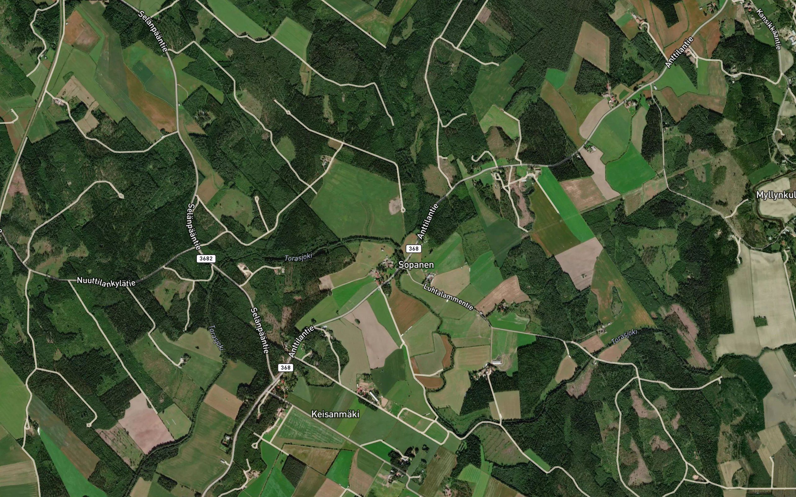 Mimmonoja