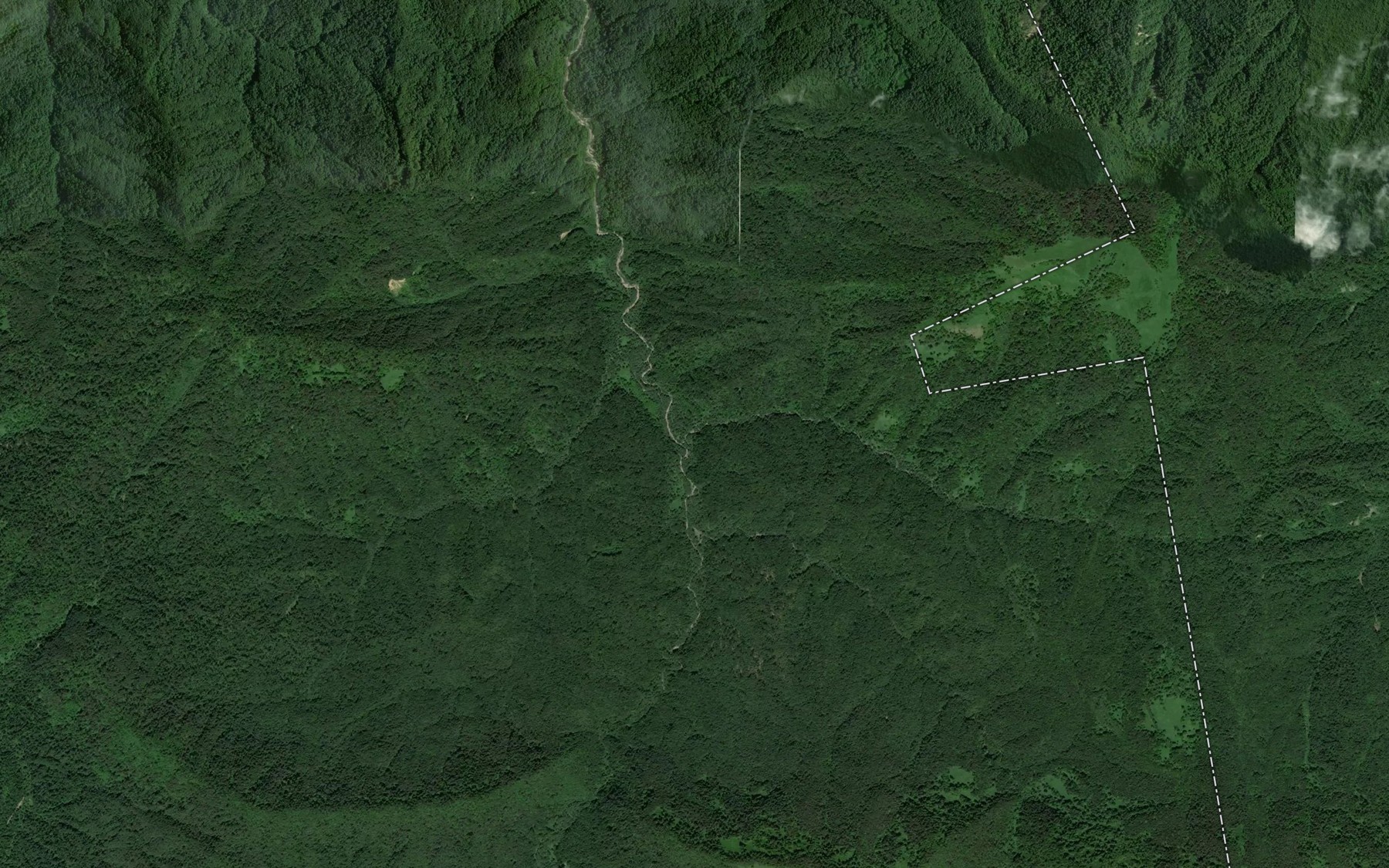 Satellite map of the Mutnaya