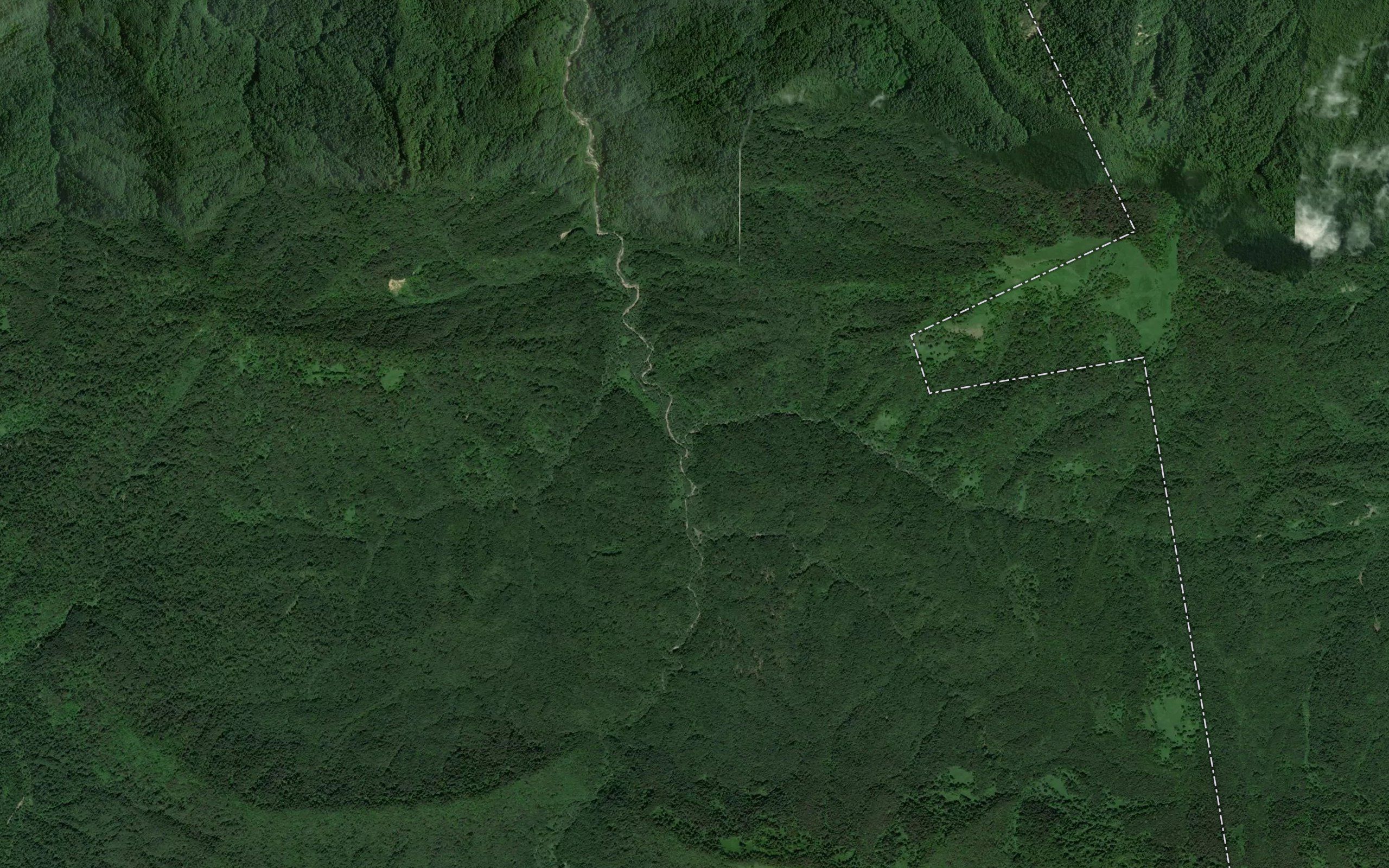Mutnaya