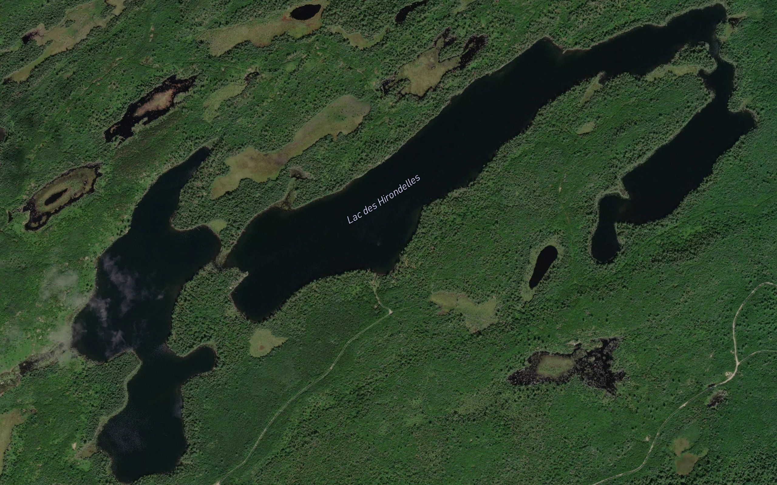 Lac Tony