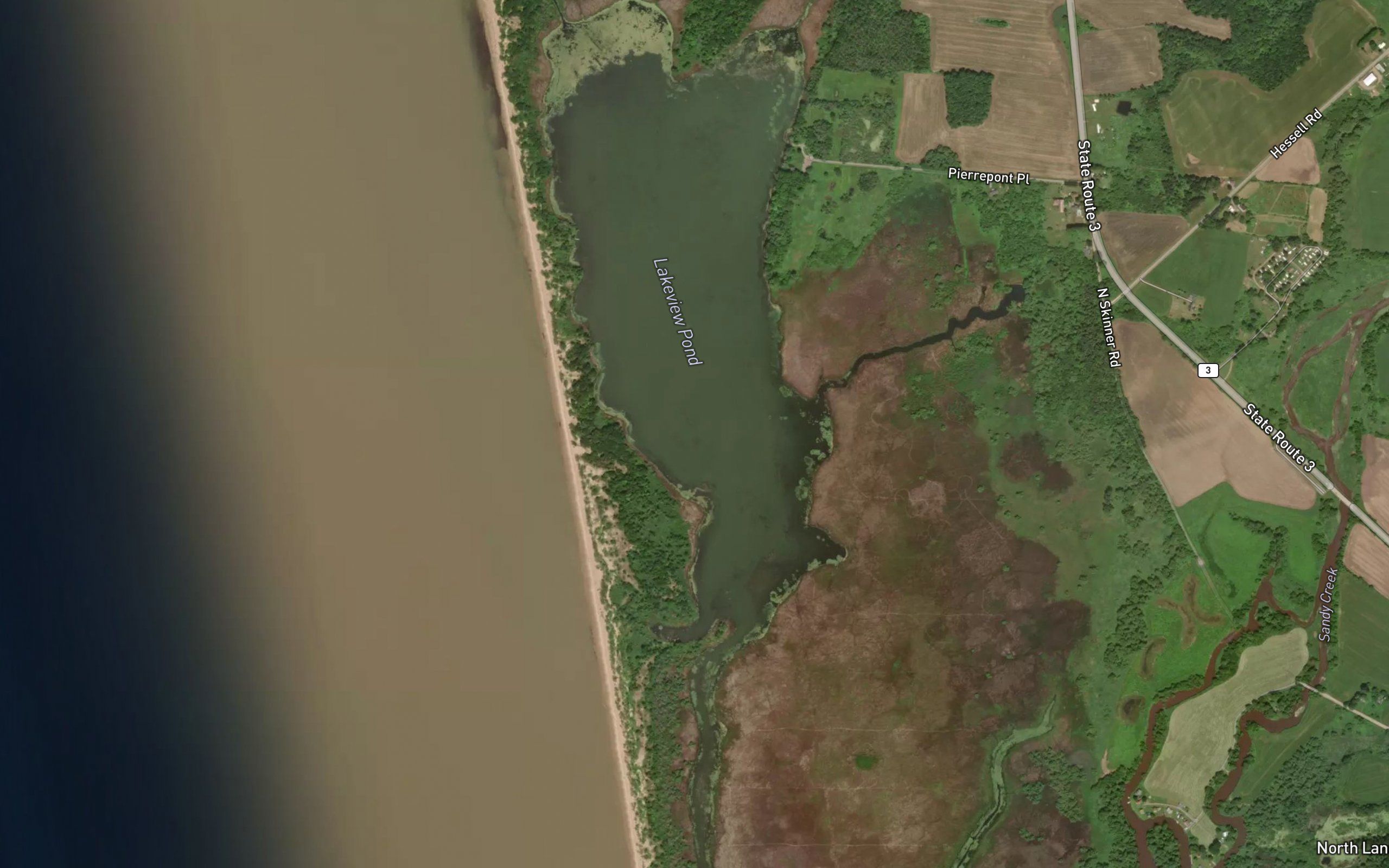Lakeview Pond