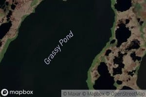Grassy Pond
