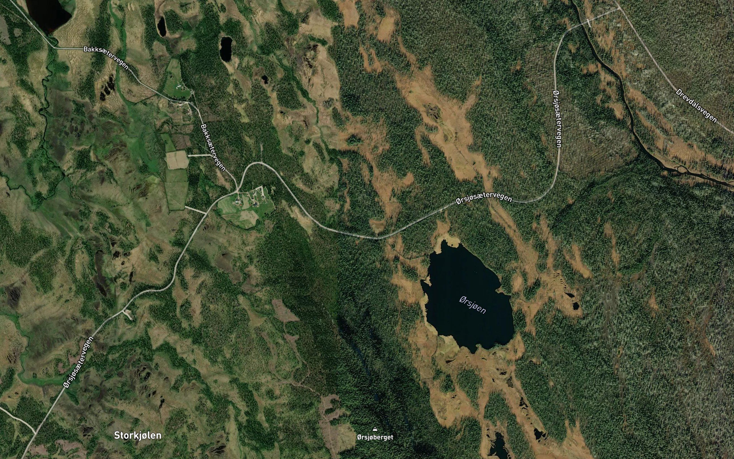 Skapkjelda