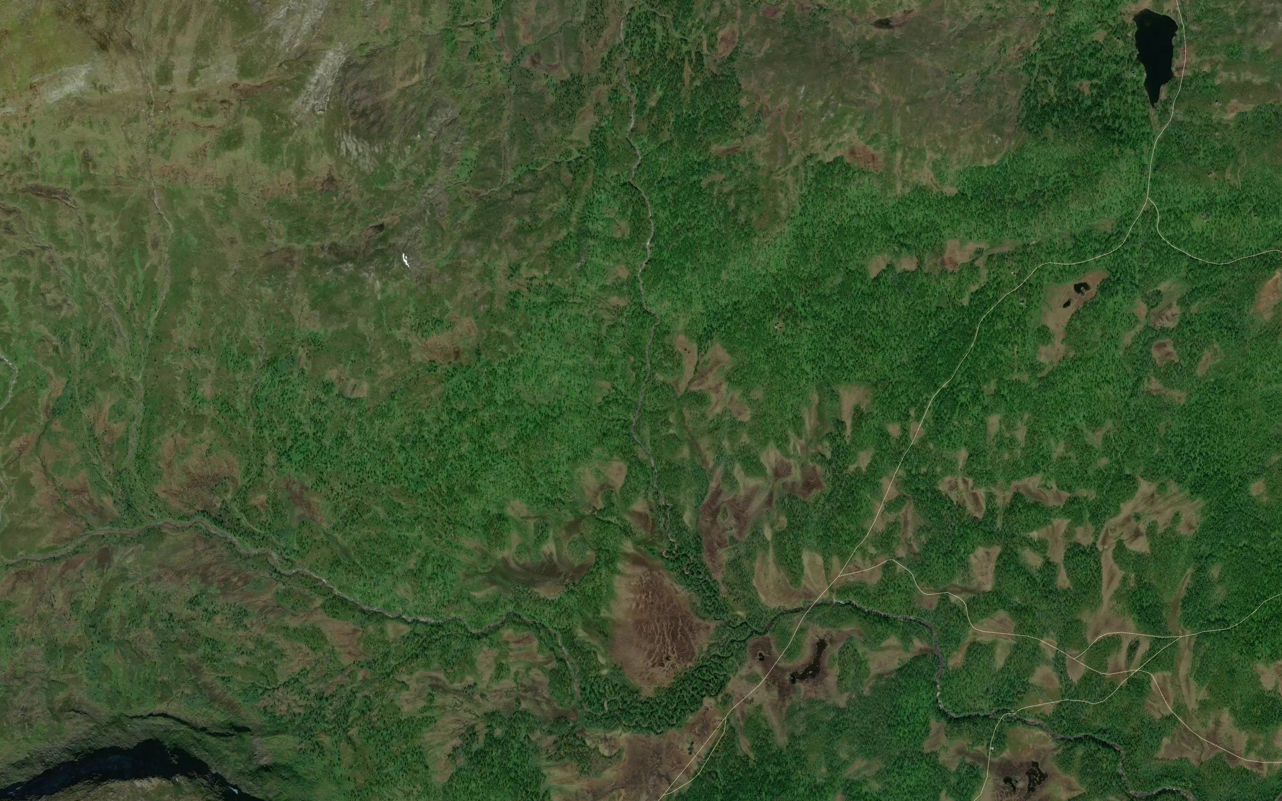 Fossmotverrelva
