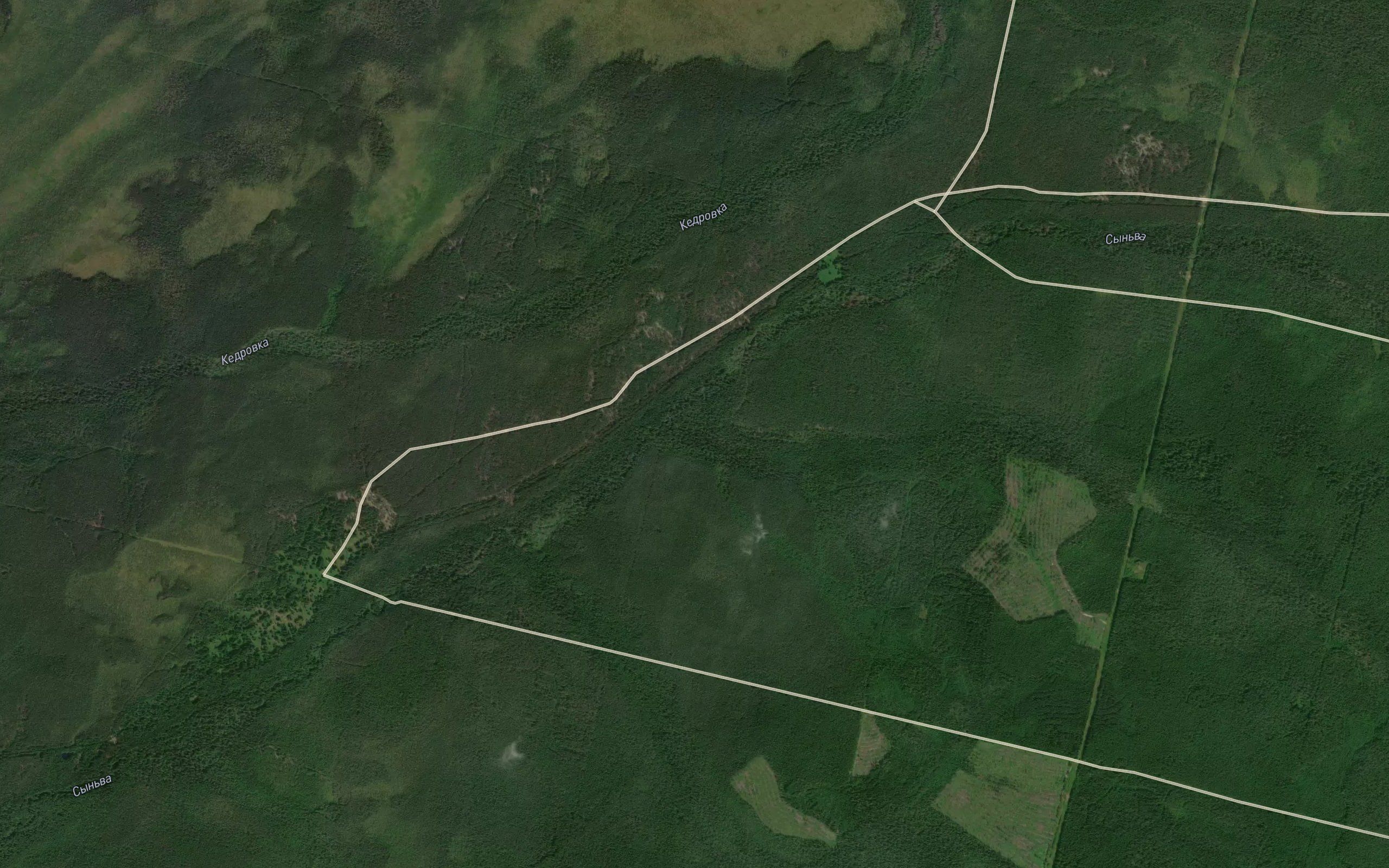 Chernaya