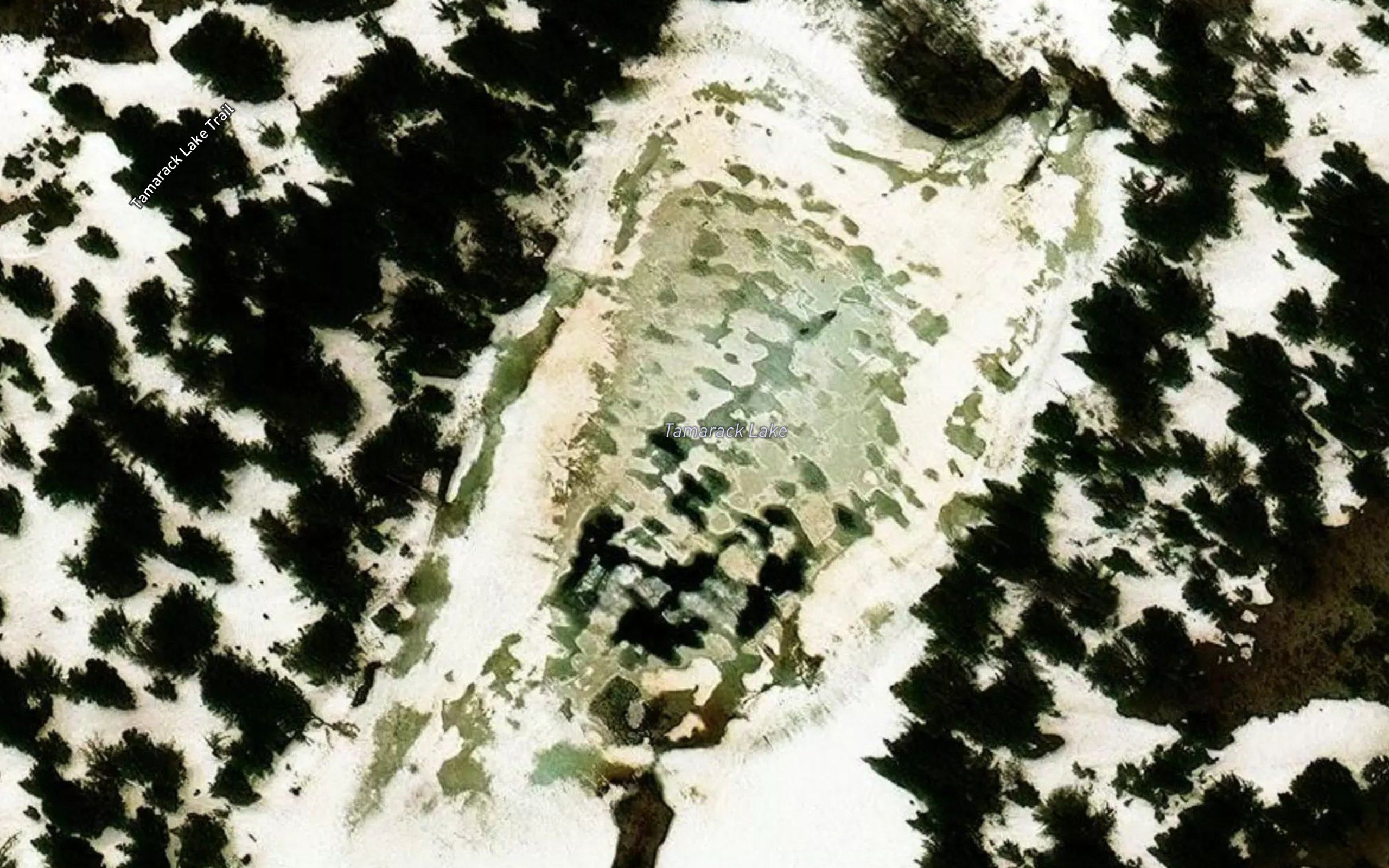 Tamarack Lake