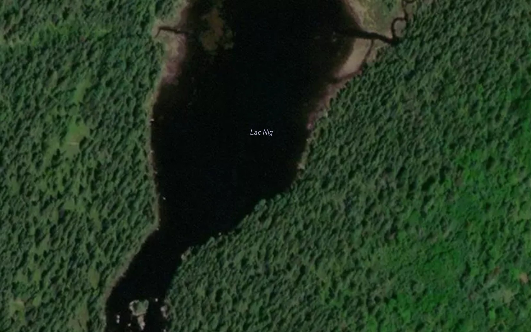Satellite map of the Lac Nig