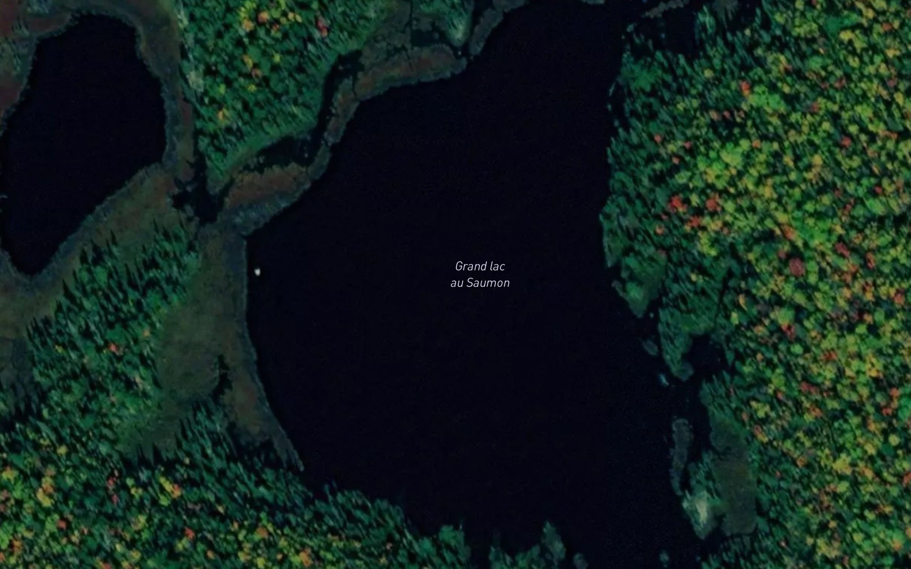 Satellite map of the Grand lac au Saumon