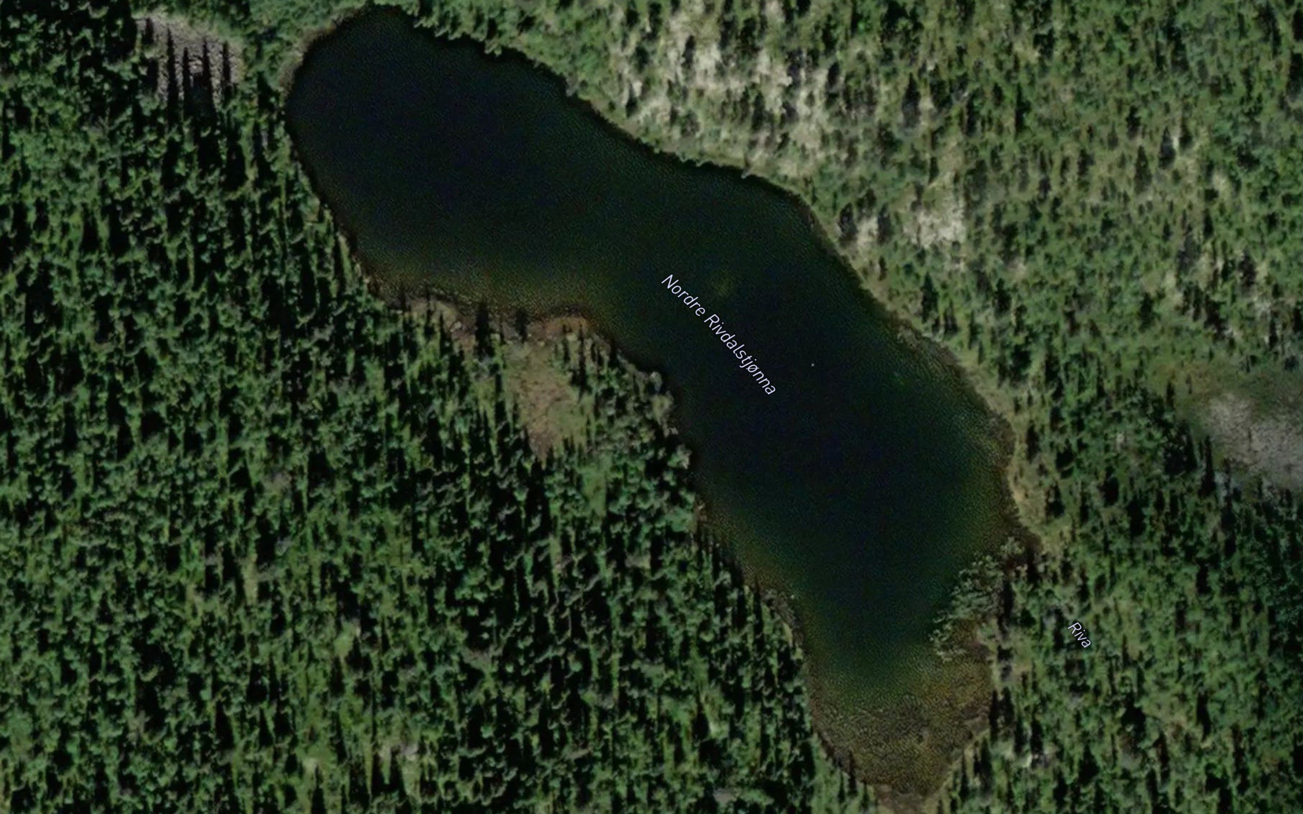Rivtjorna,nordre