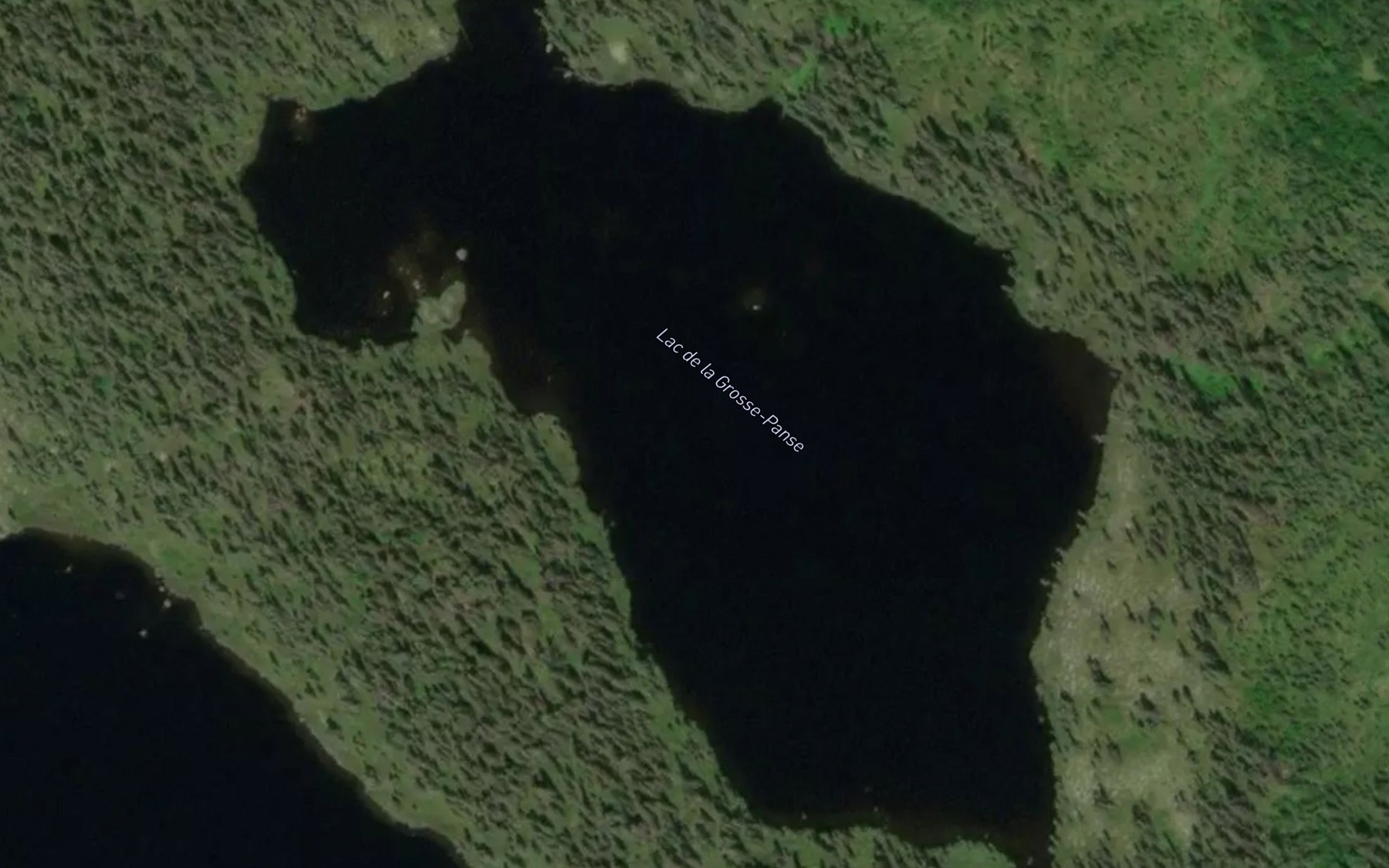 Satellite map of the Lac de la Grosse-Panse