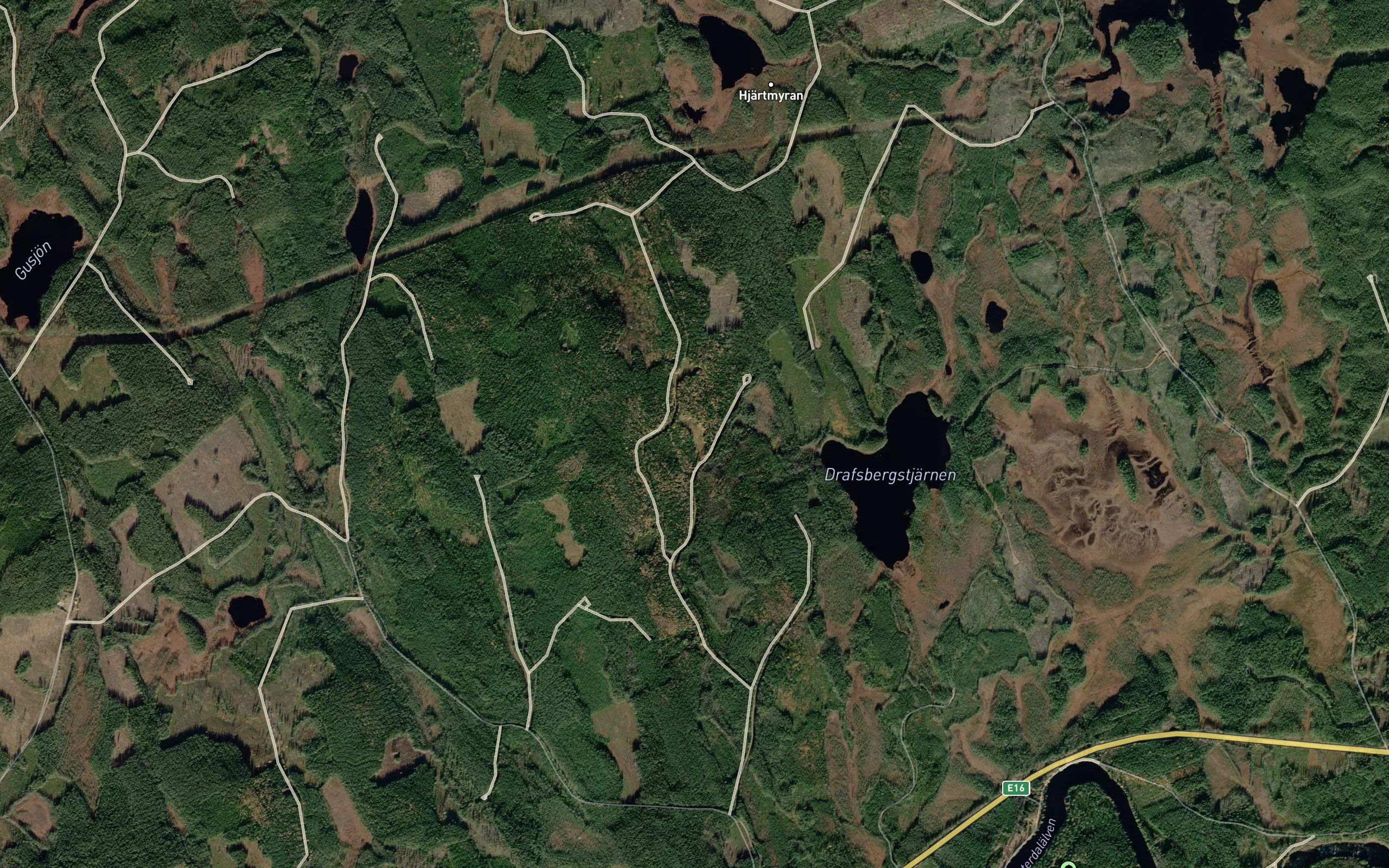 Dravstjarn