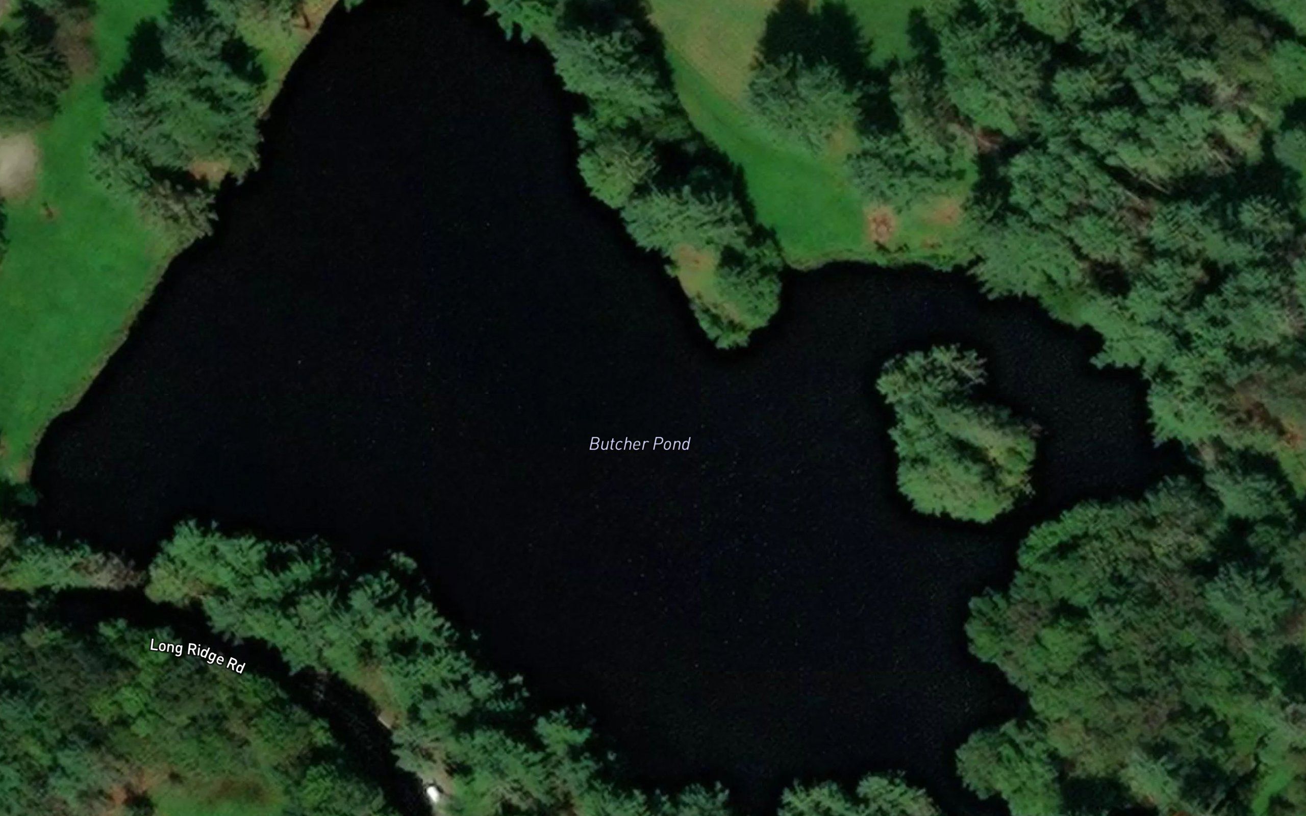 Butcher Pond