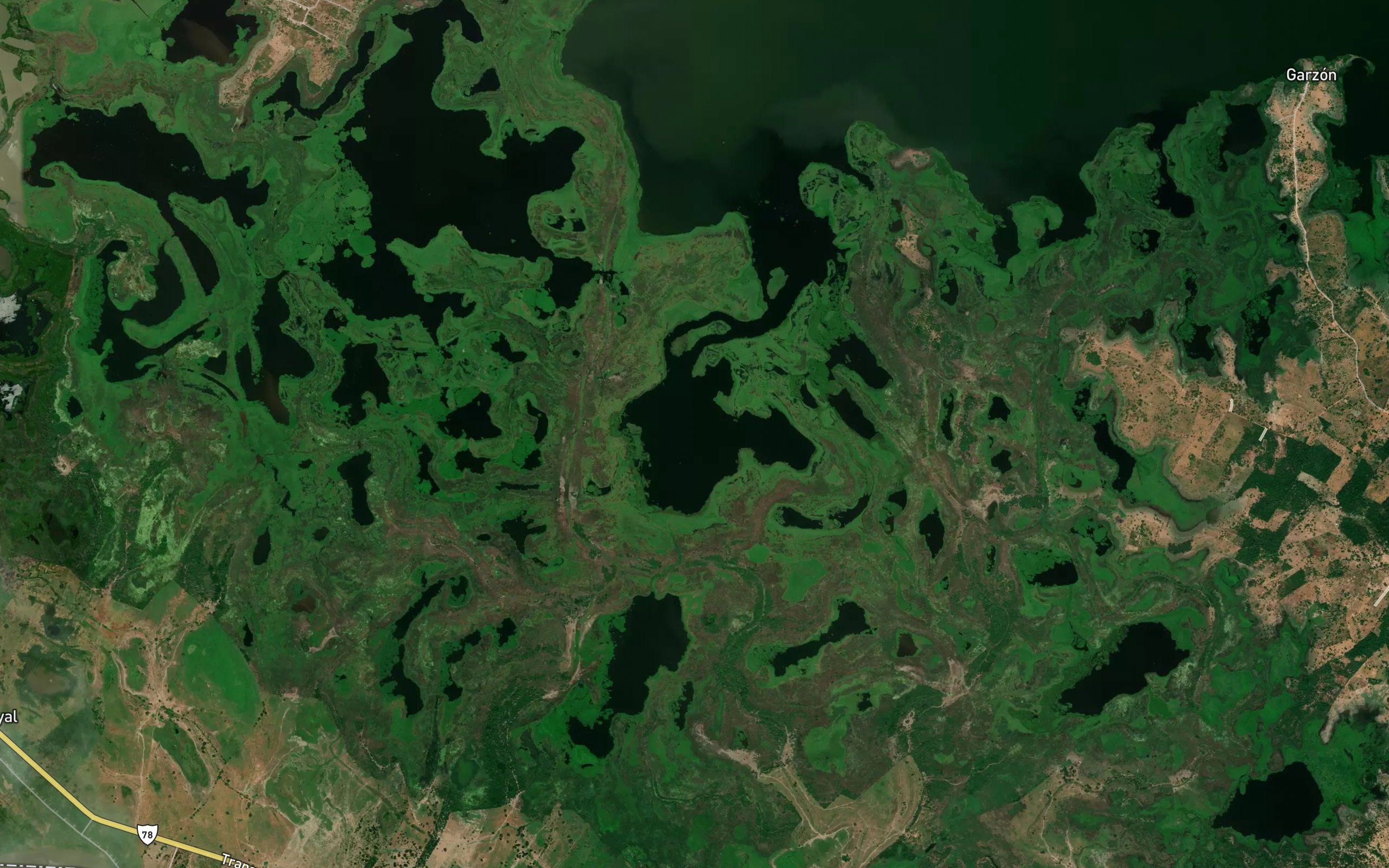 Cienaga Garzal