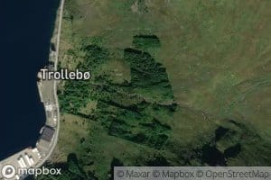 Trolleboelva