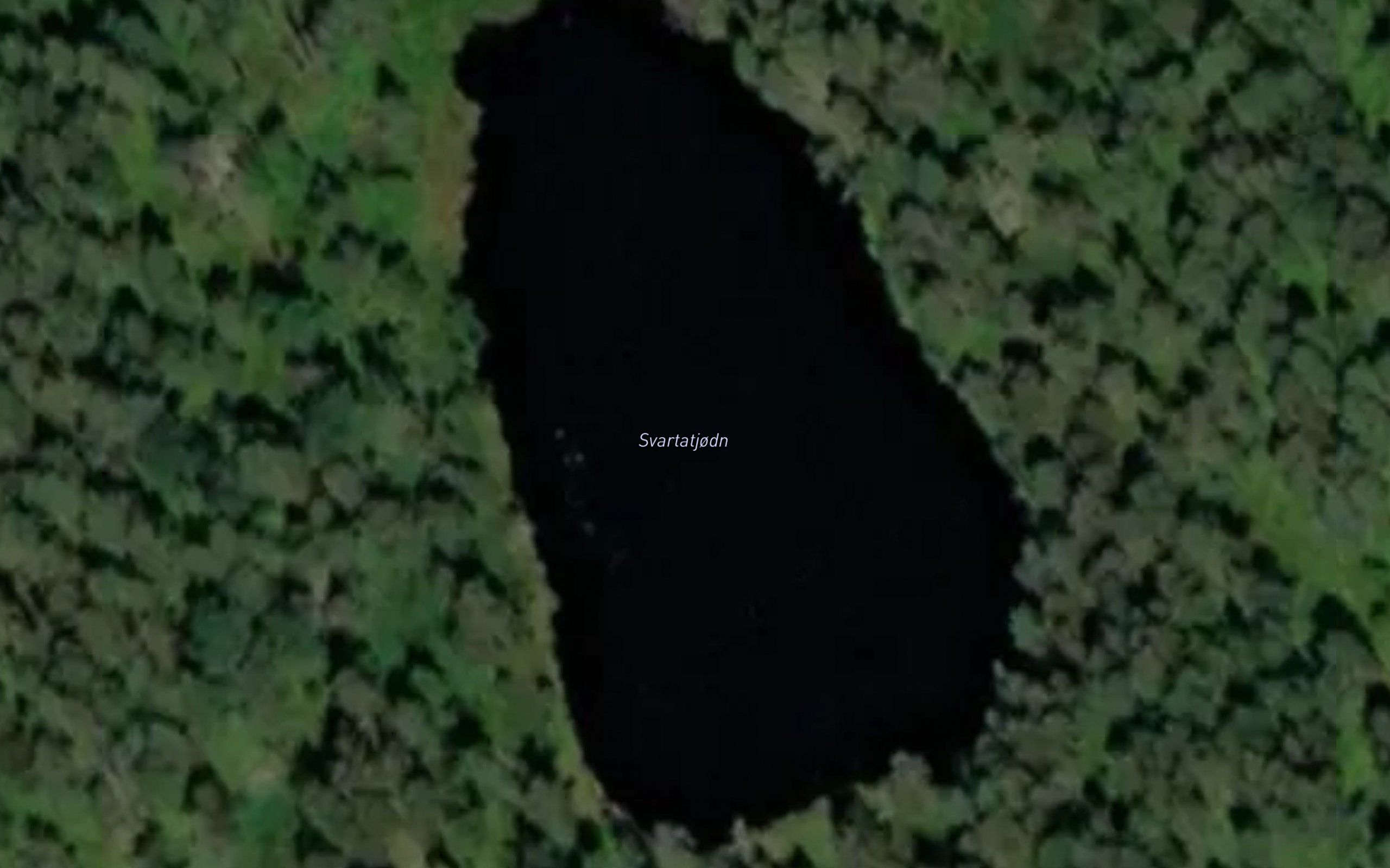 Svartatjodn