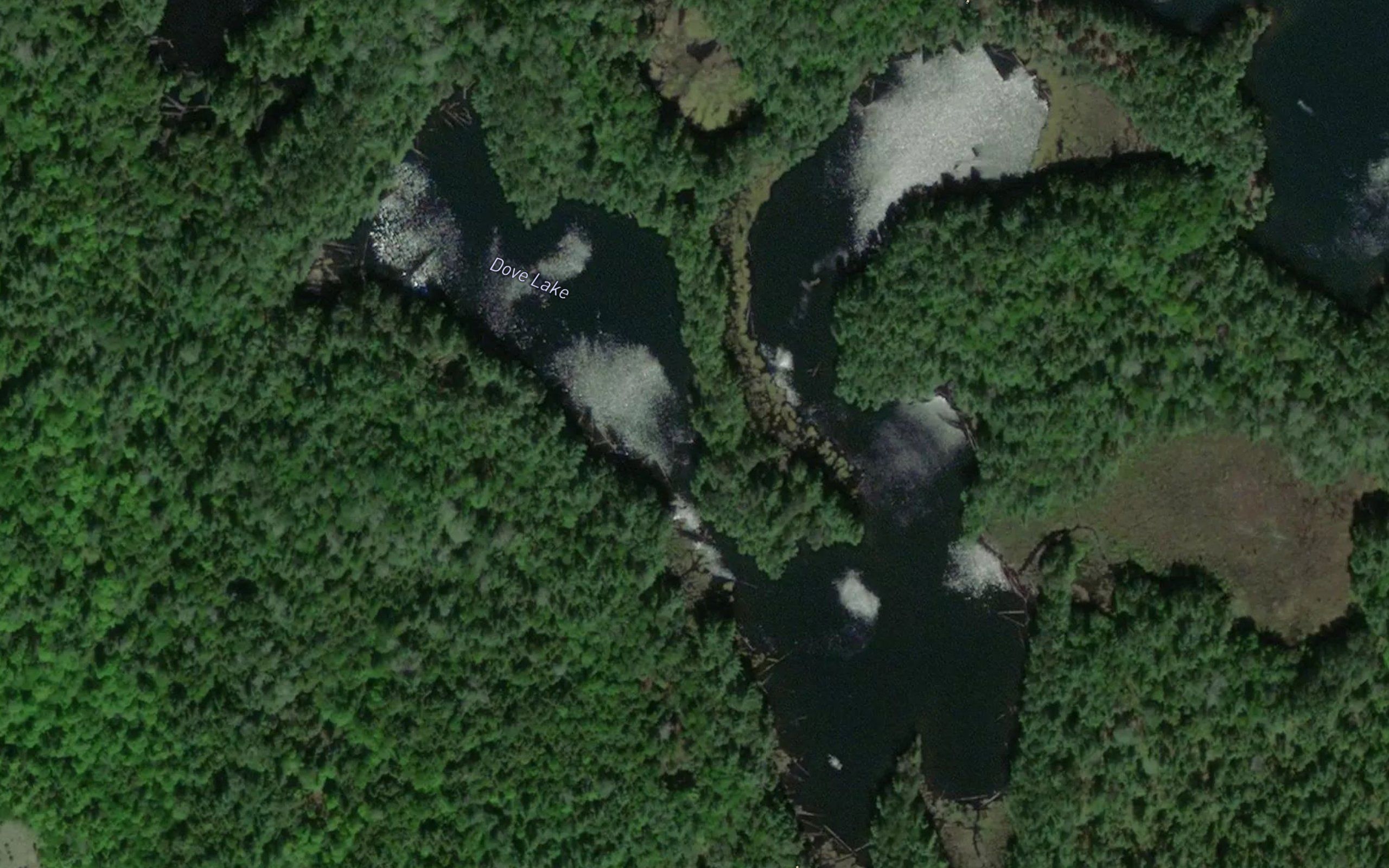 Dove Lake