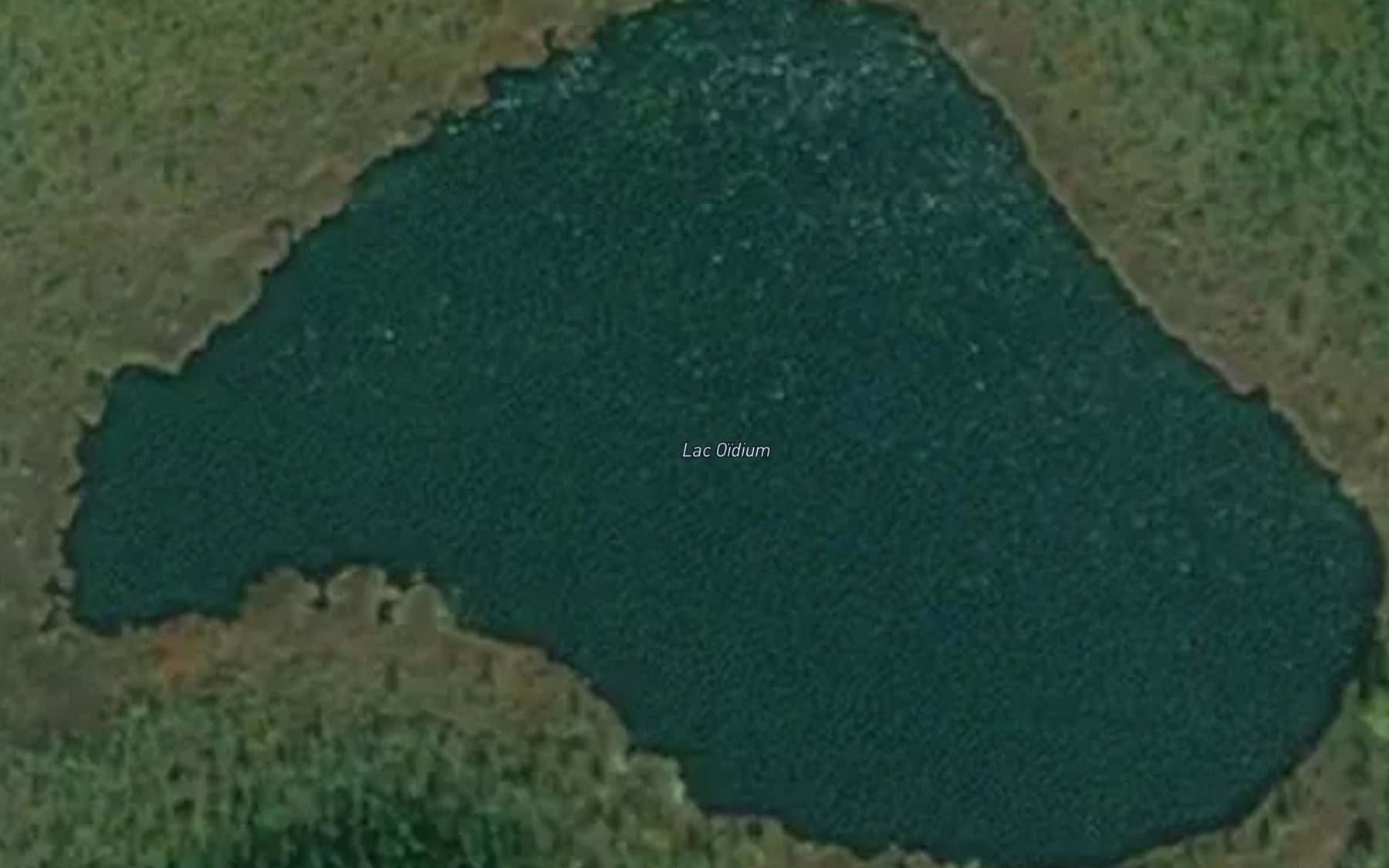 Satellite map of the Lac Oidium
