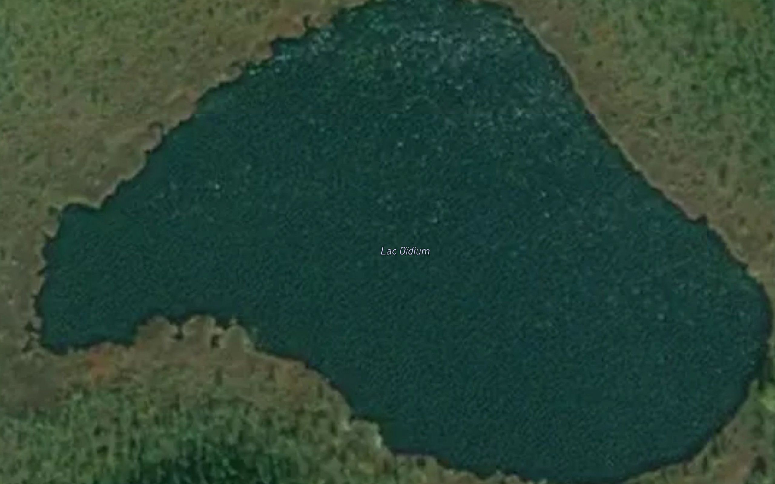 Lac Oidium