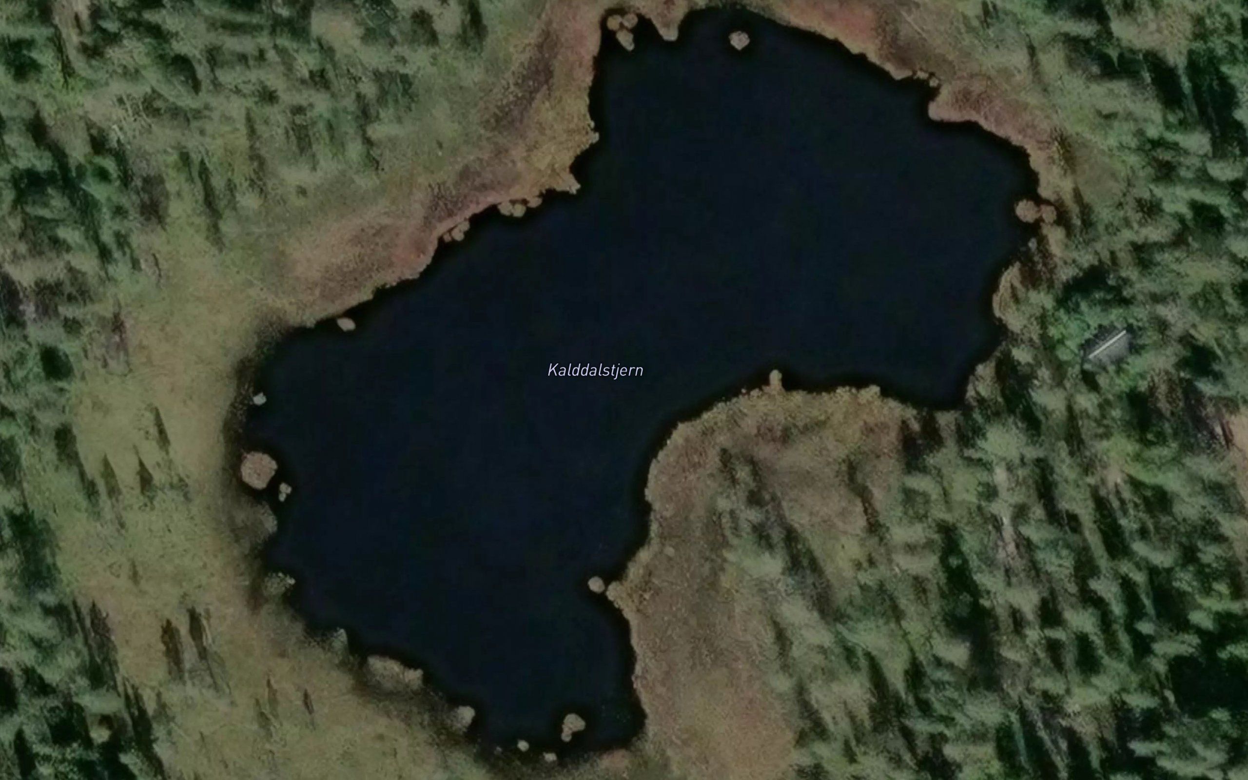 Kalddalstjernet