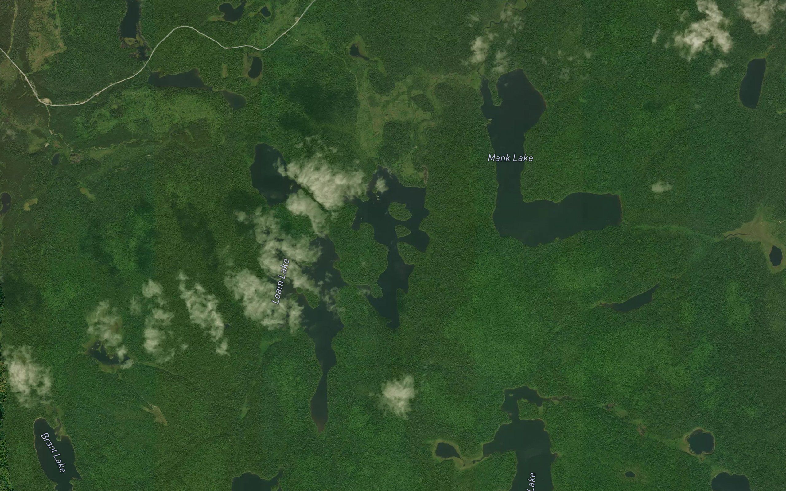 Dickie Lake