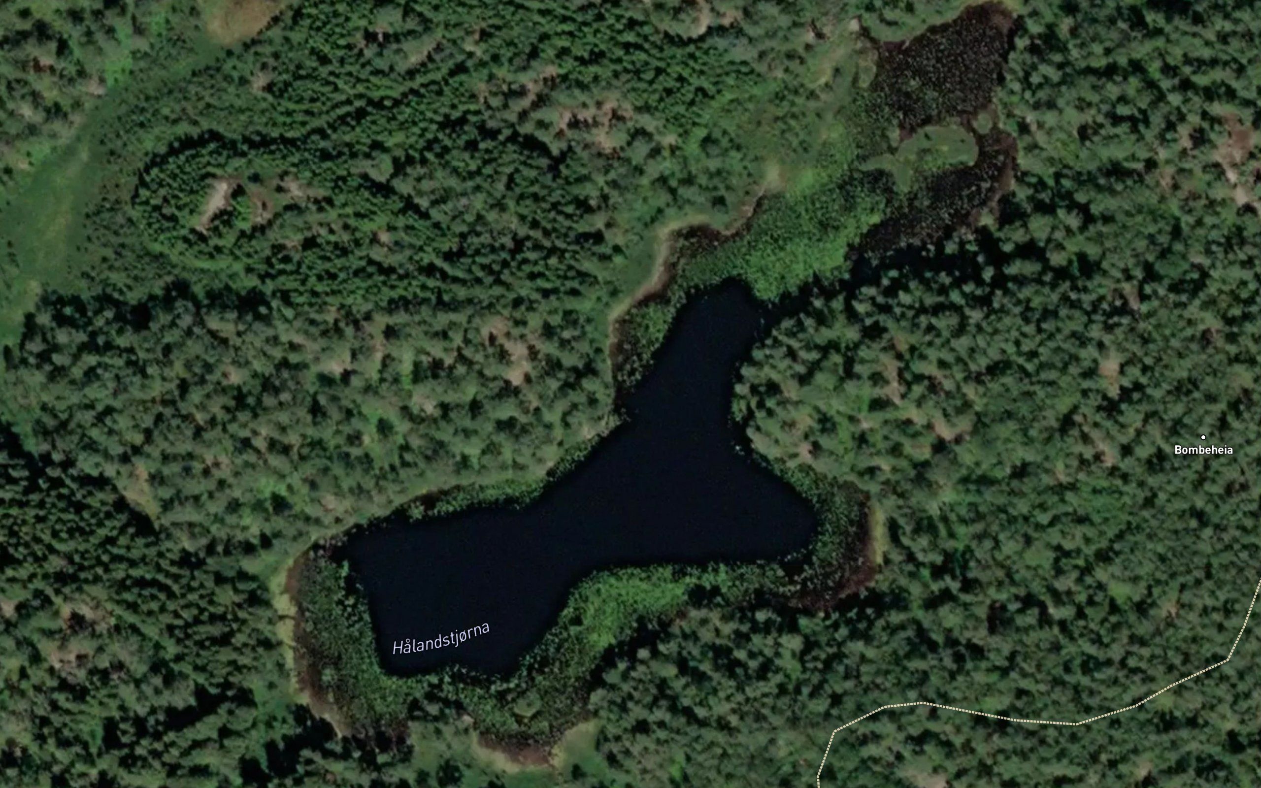 Halandstjorna